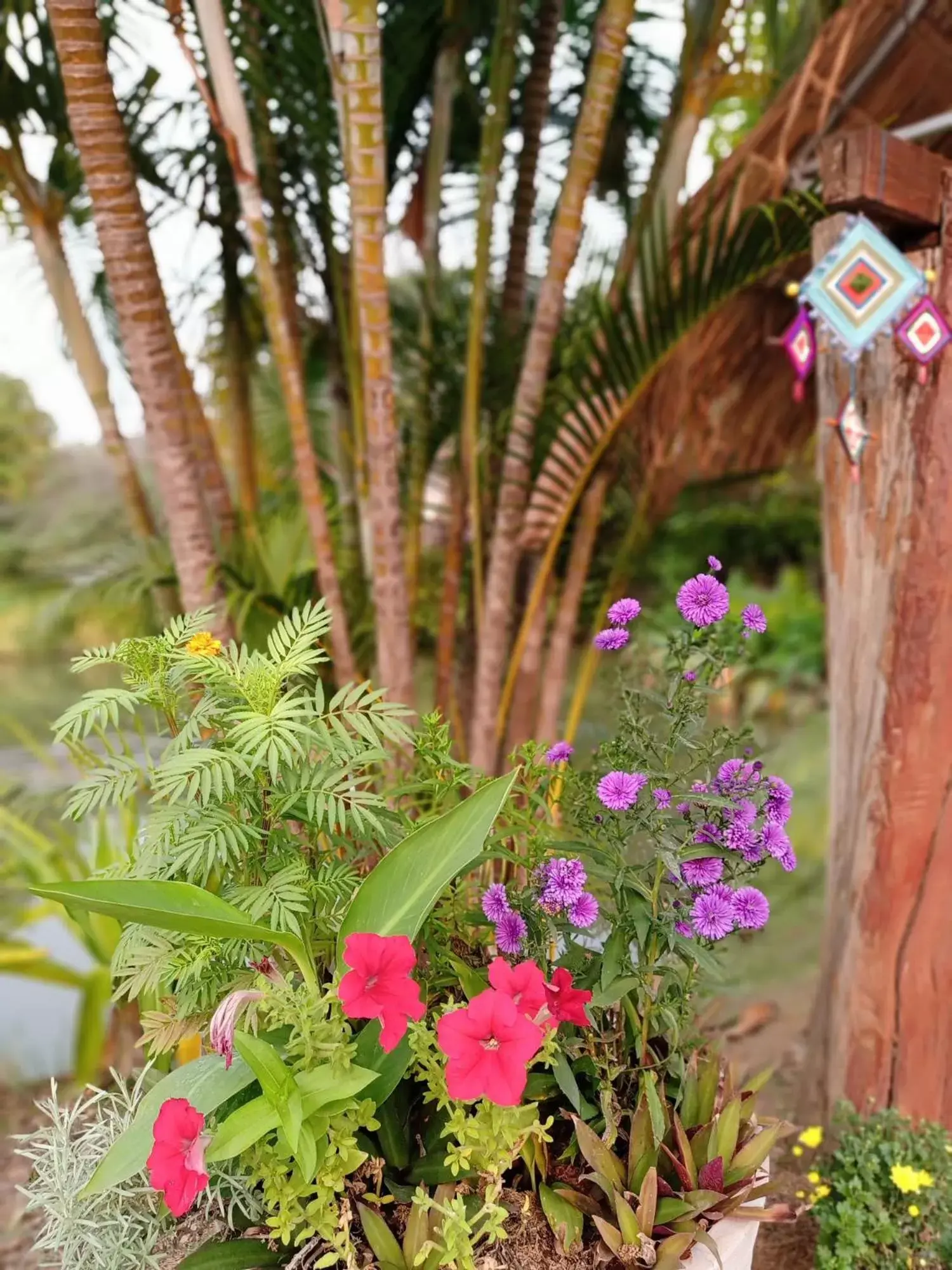 Garden in Pura Vida Pai Resort