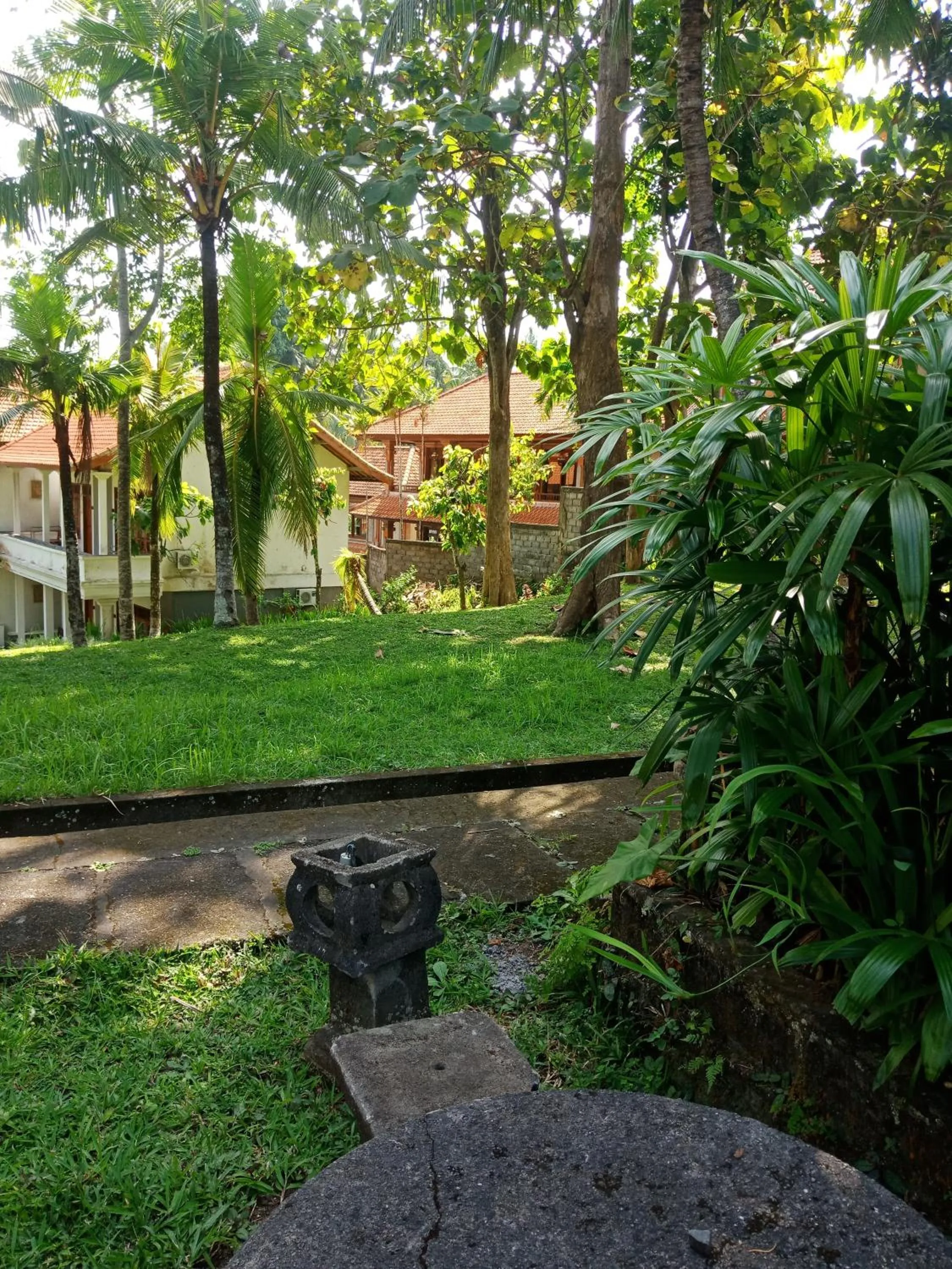 Garden in Argasoka Bungalows