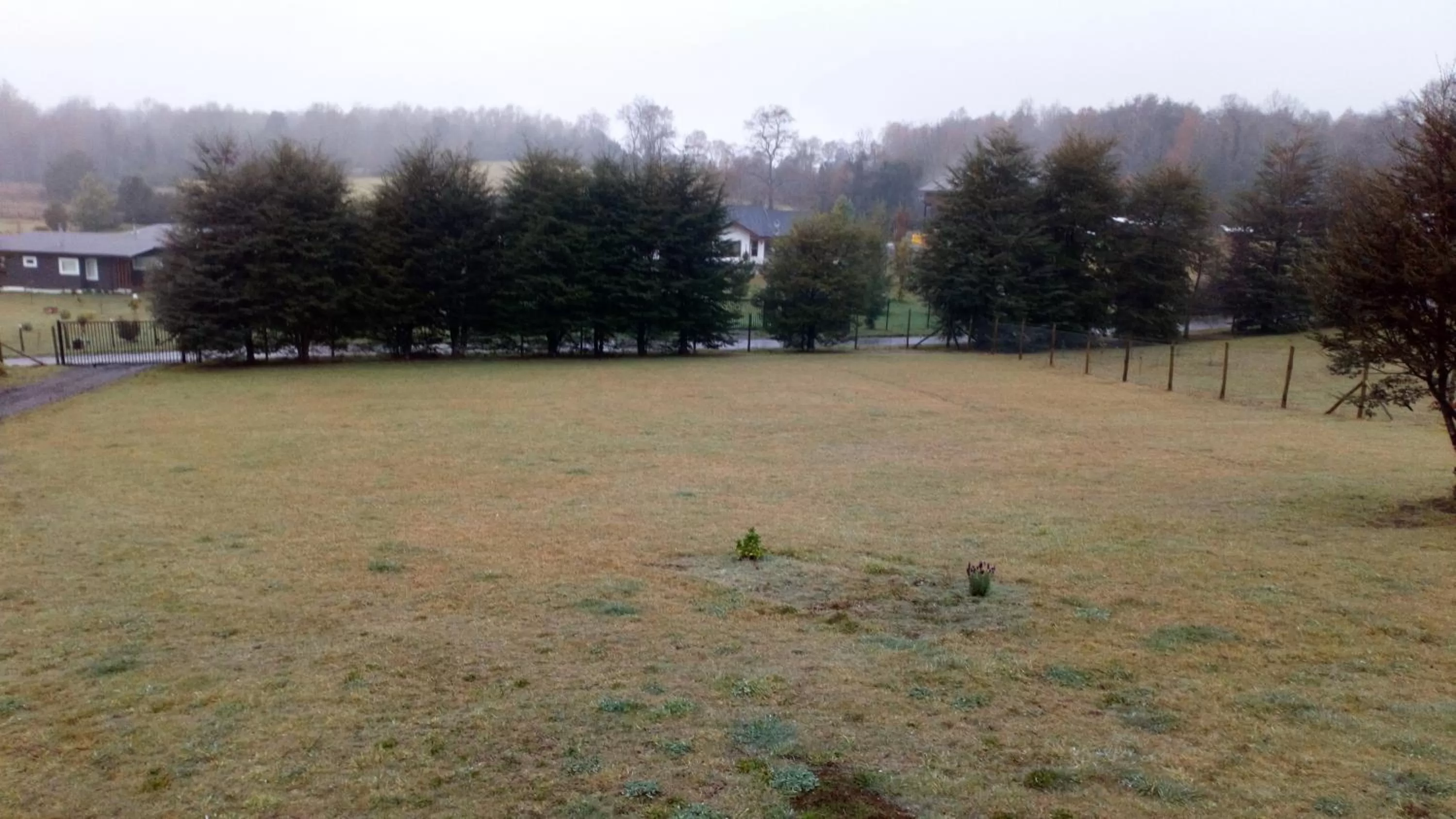 Garden in Hostal Parcela 47 villarrica