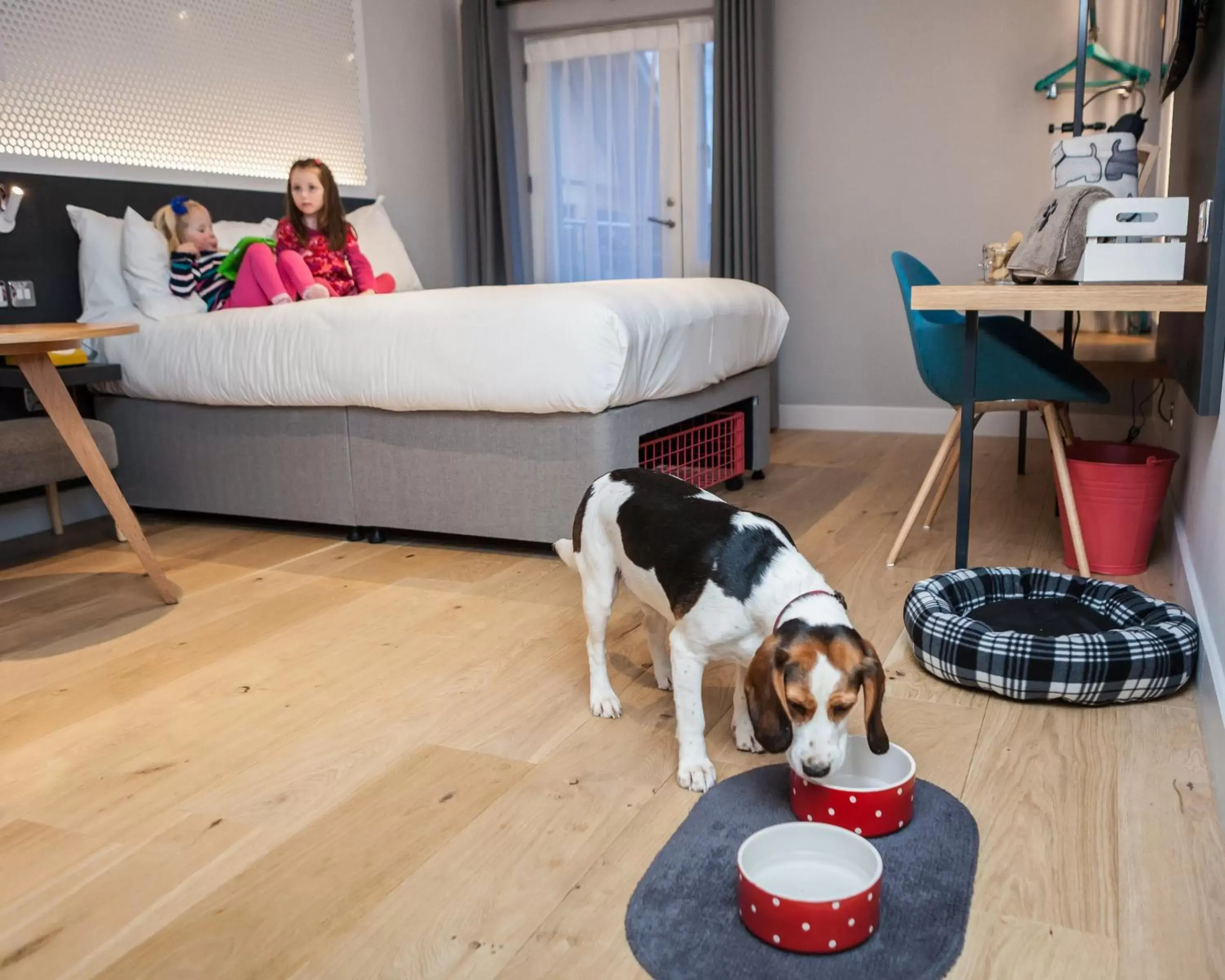 Pets in Lodge at Solent