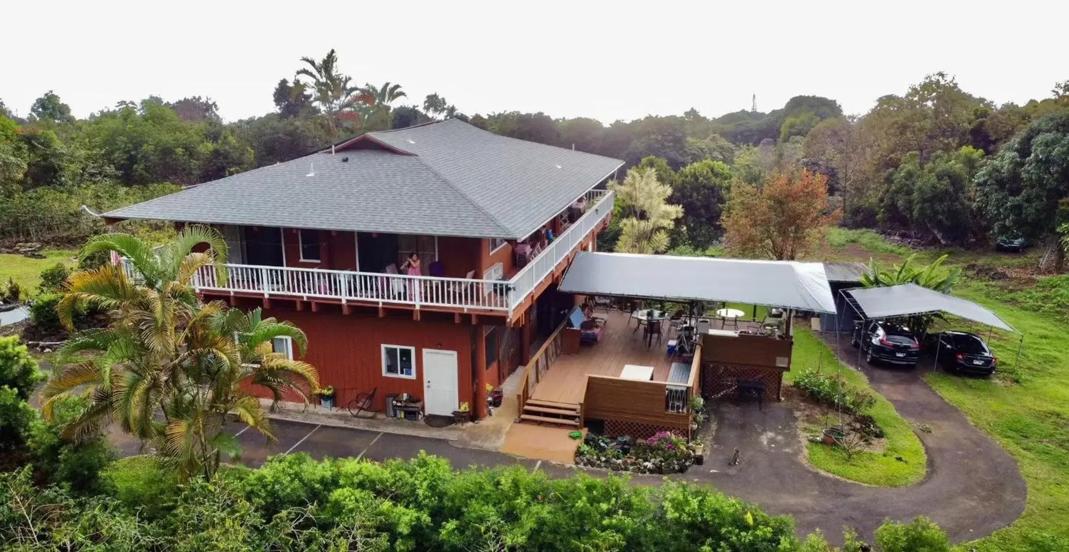 Breakfast, Bird's-eye View in Coffee Garden