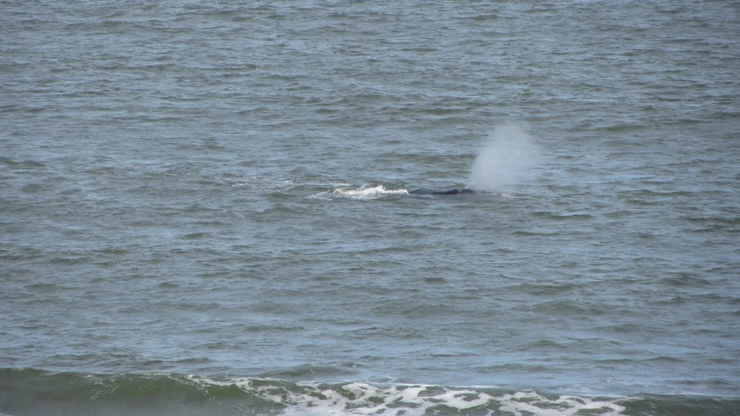 Area and facilities in BDA Hotel & Spa