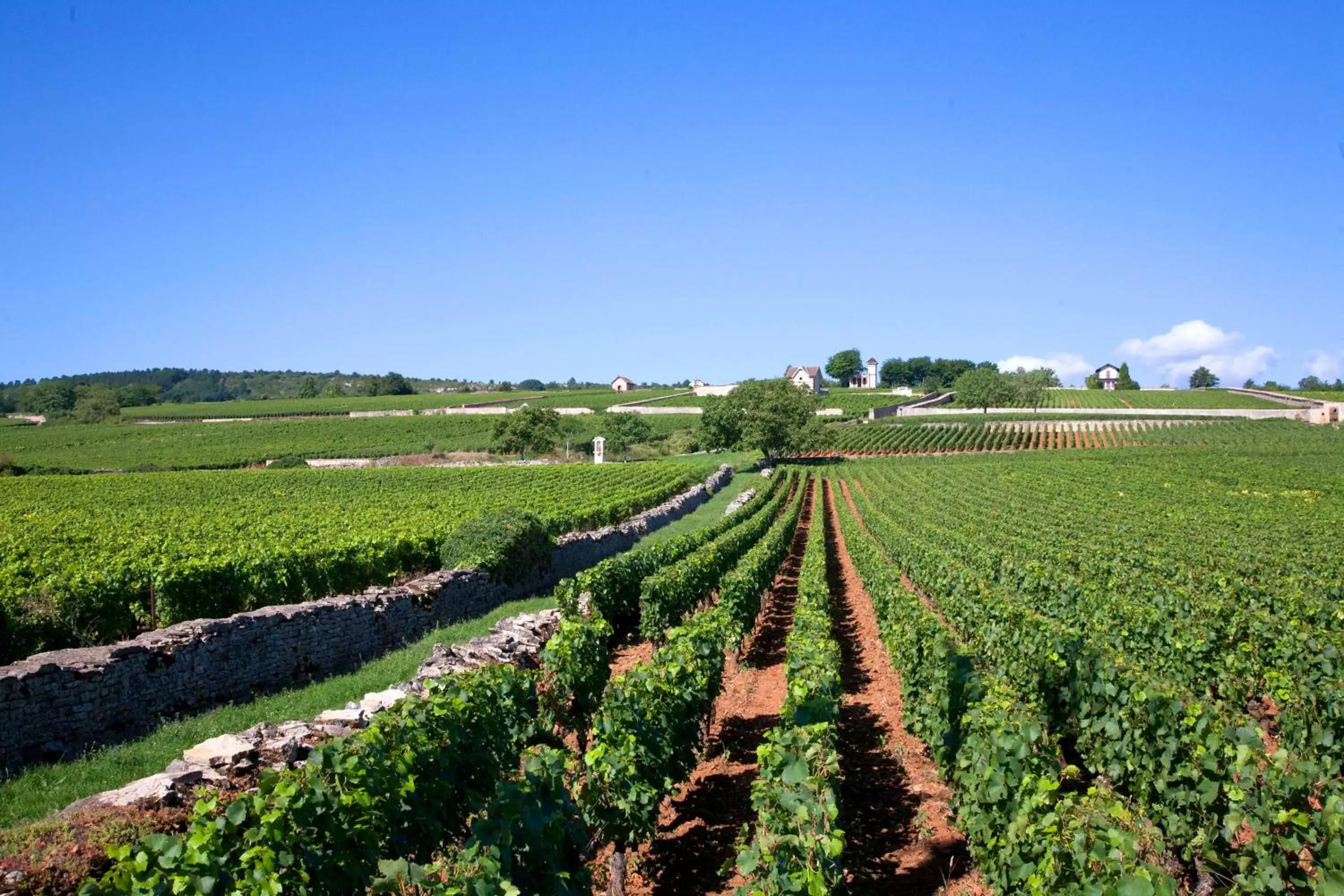 Natural Landscape in Vini Hotel