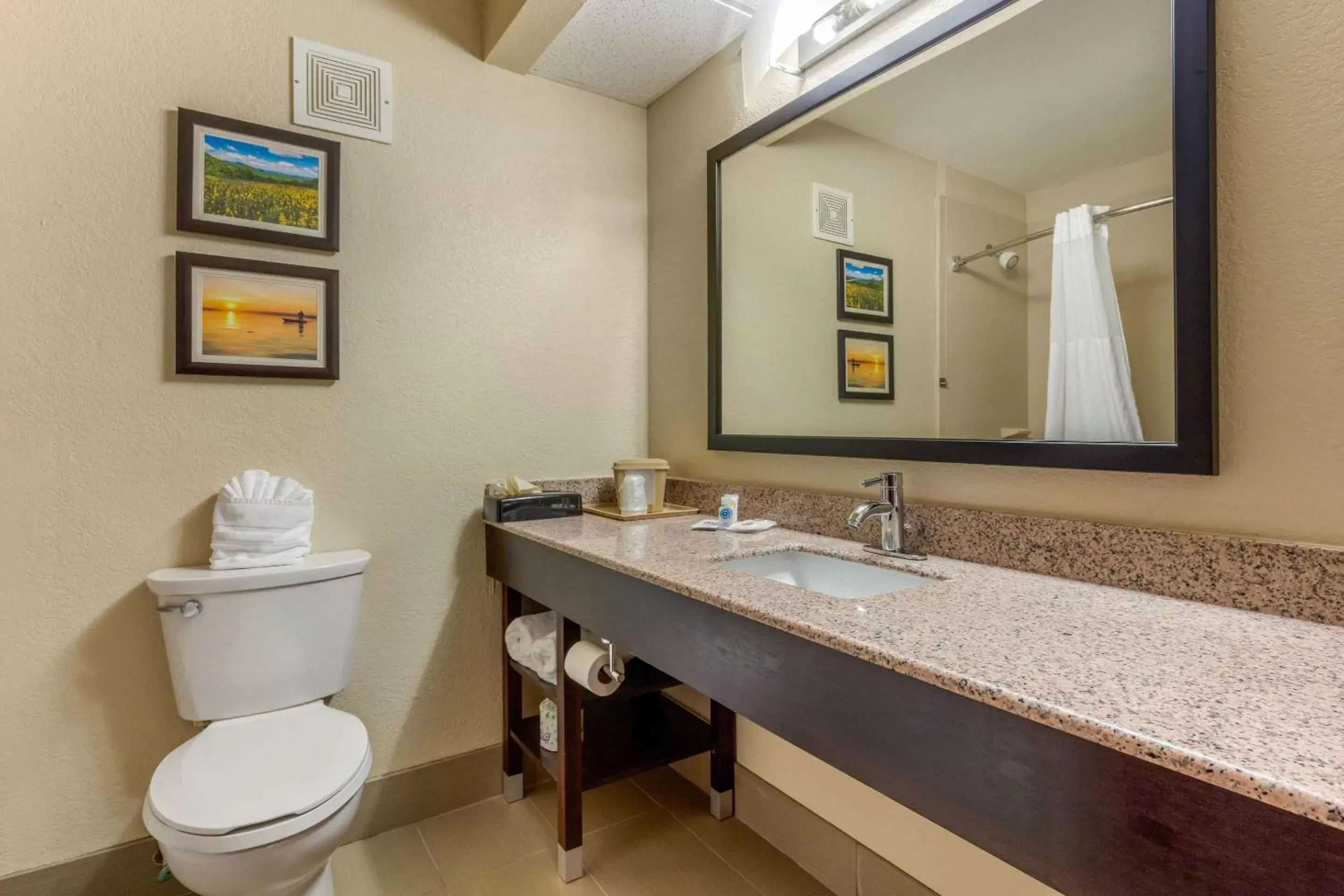 Bathroom in Comfort Inn Lenoir City