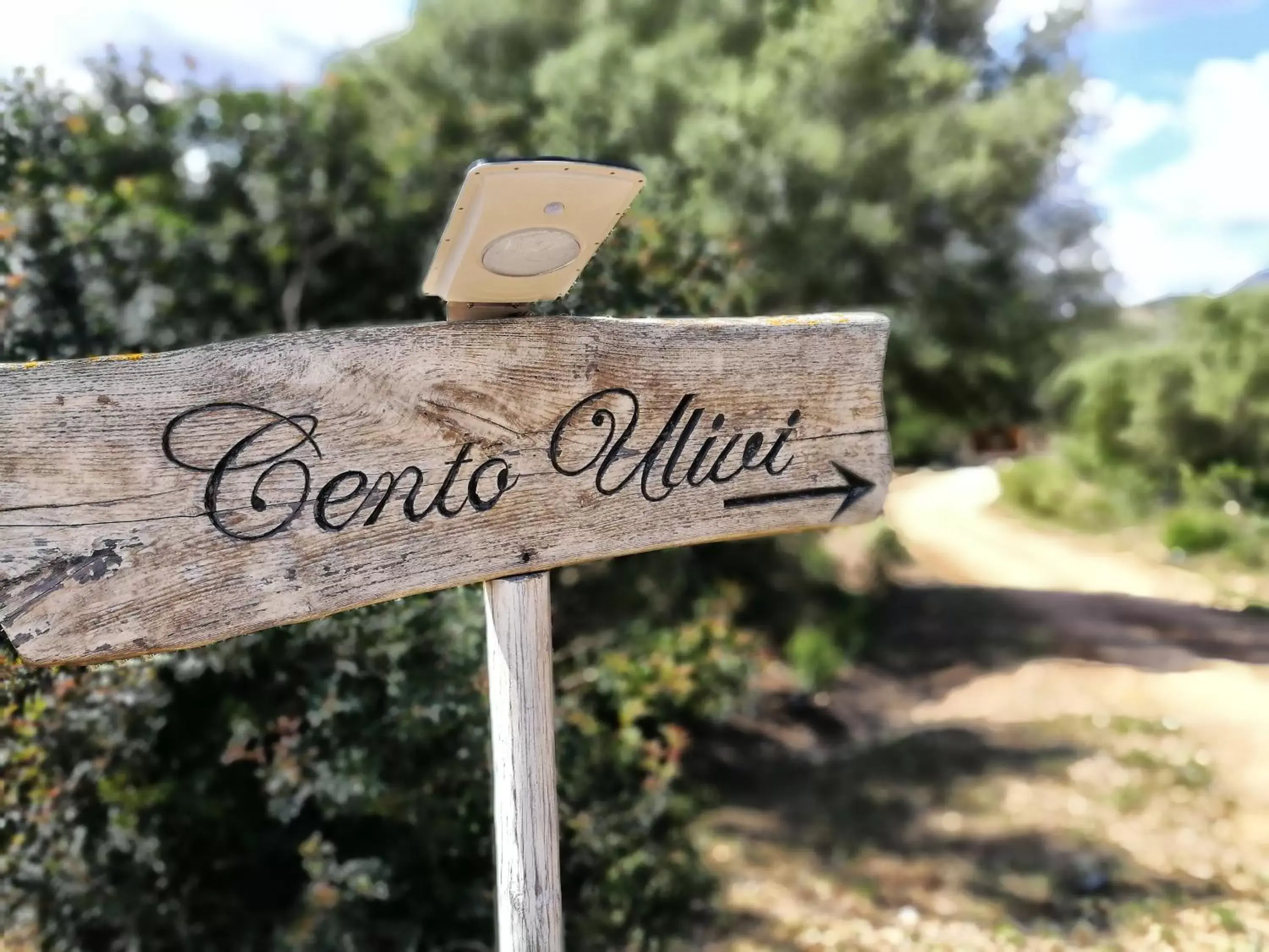 Property logo or sign in Cento Ulivi B&B