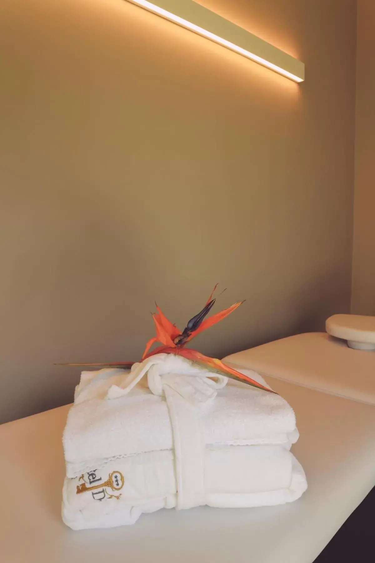 Massage, Bed in Hotel Diana Jardin et Spa