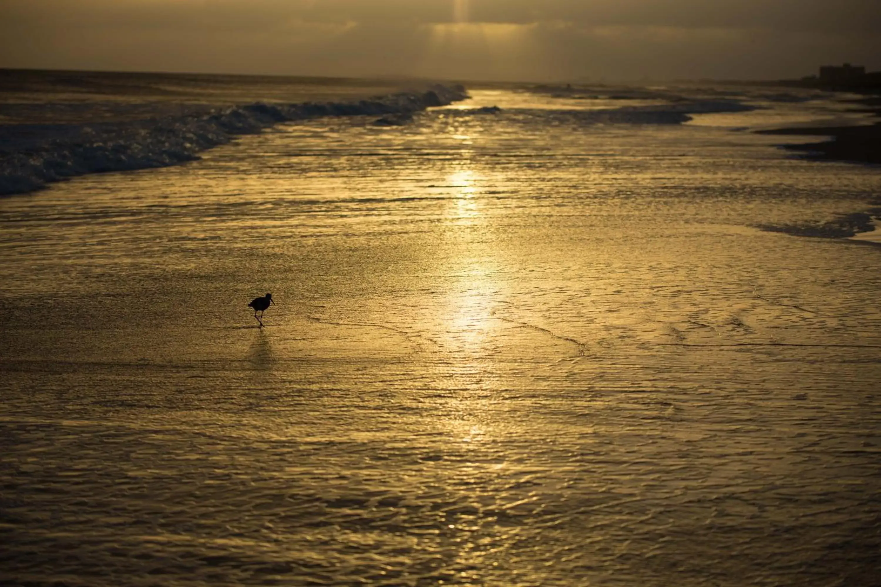 Sunset, Sunrise/Sunset in Atlantic Beach Resort, a Ramada by Wyndham