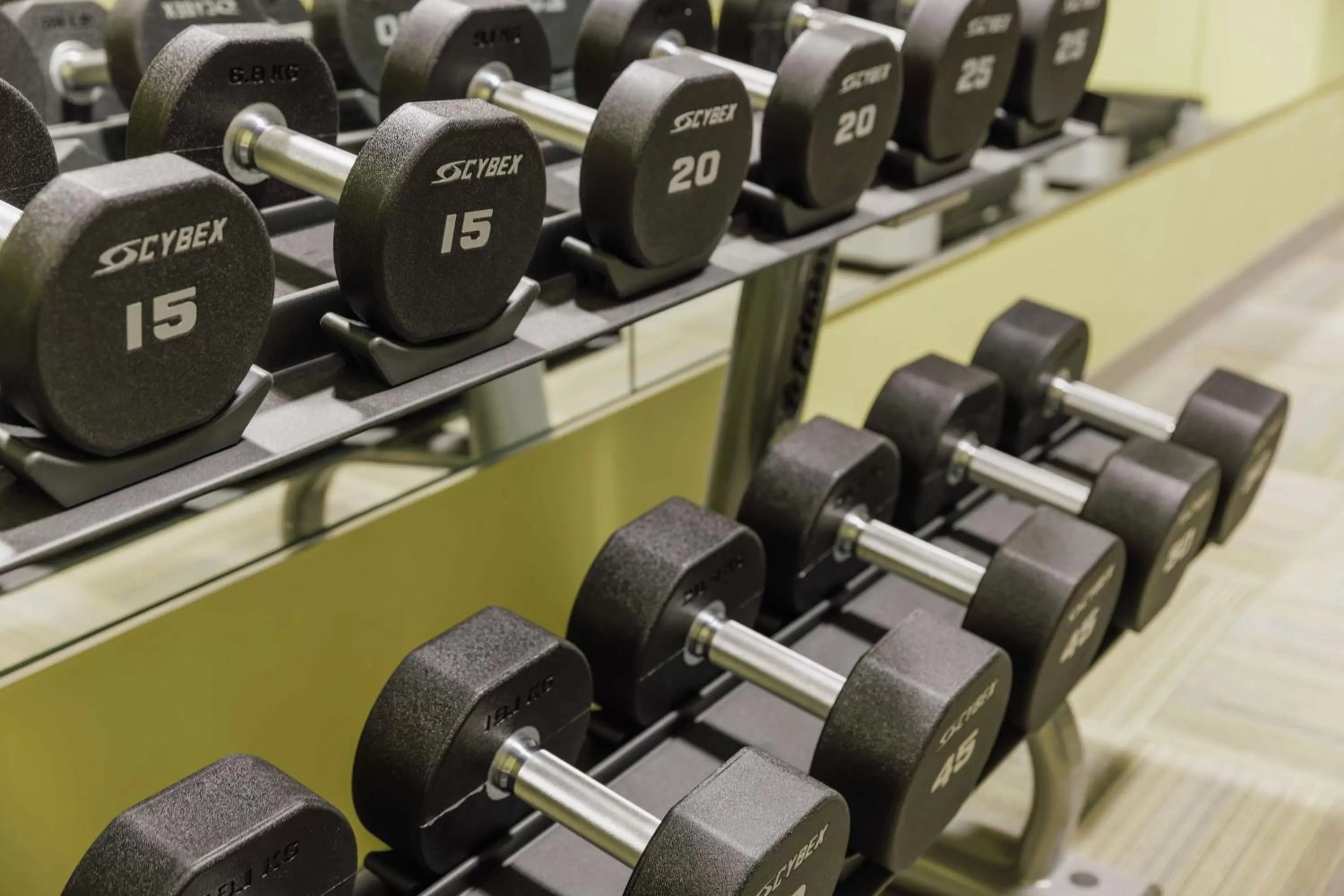 Fitness centre/facilities in Hotel Trilogy Albany Airport, Tapestry Collection by Hilton