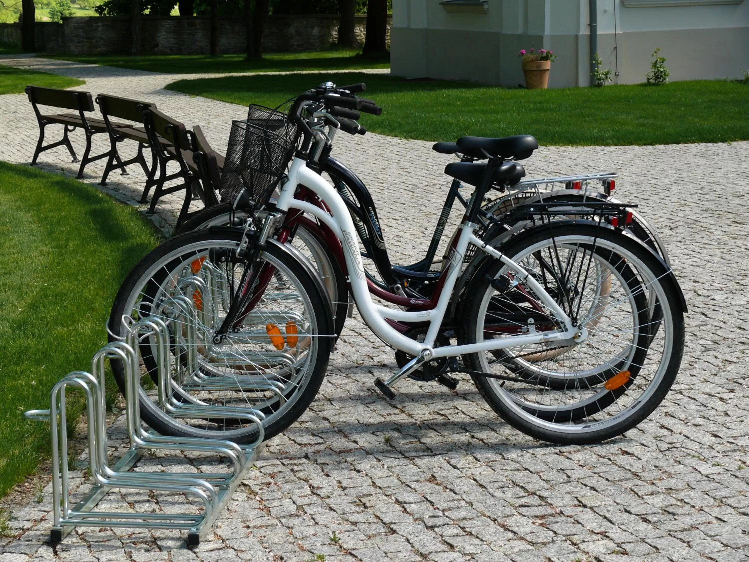 Cycling in Dwór Zbożenna