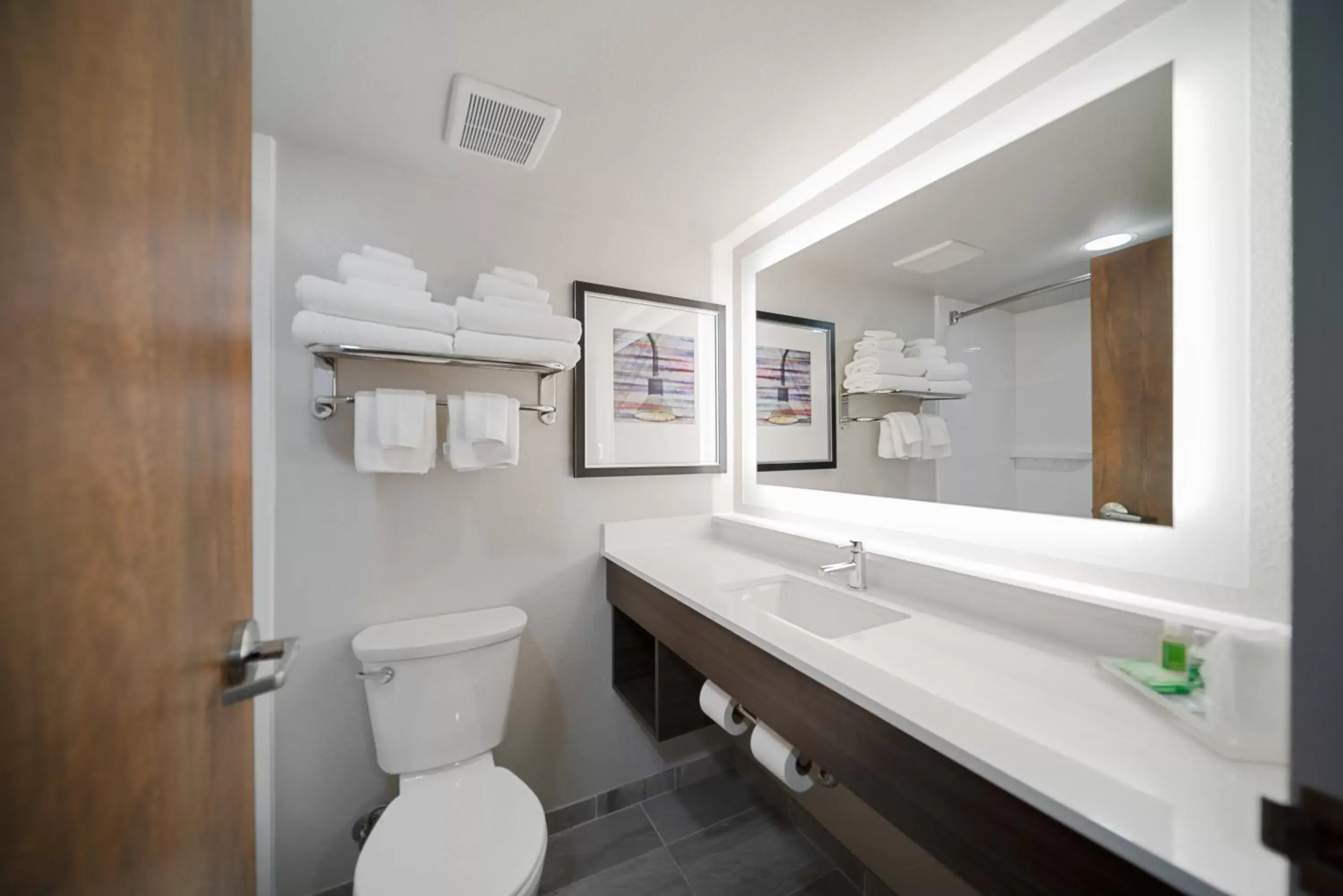 Photo of the whole room, Bathroom in Holiday Inn Kearney, an IHG Hotel
