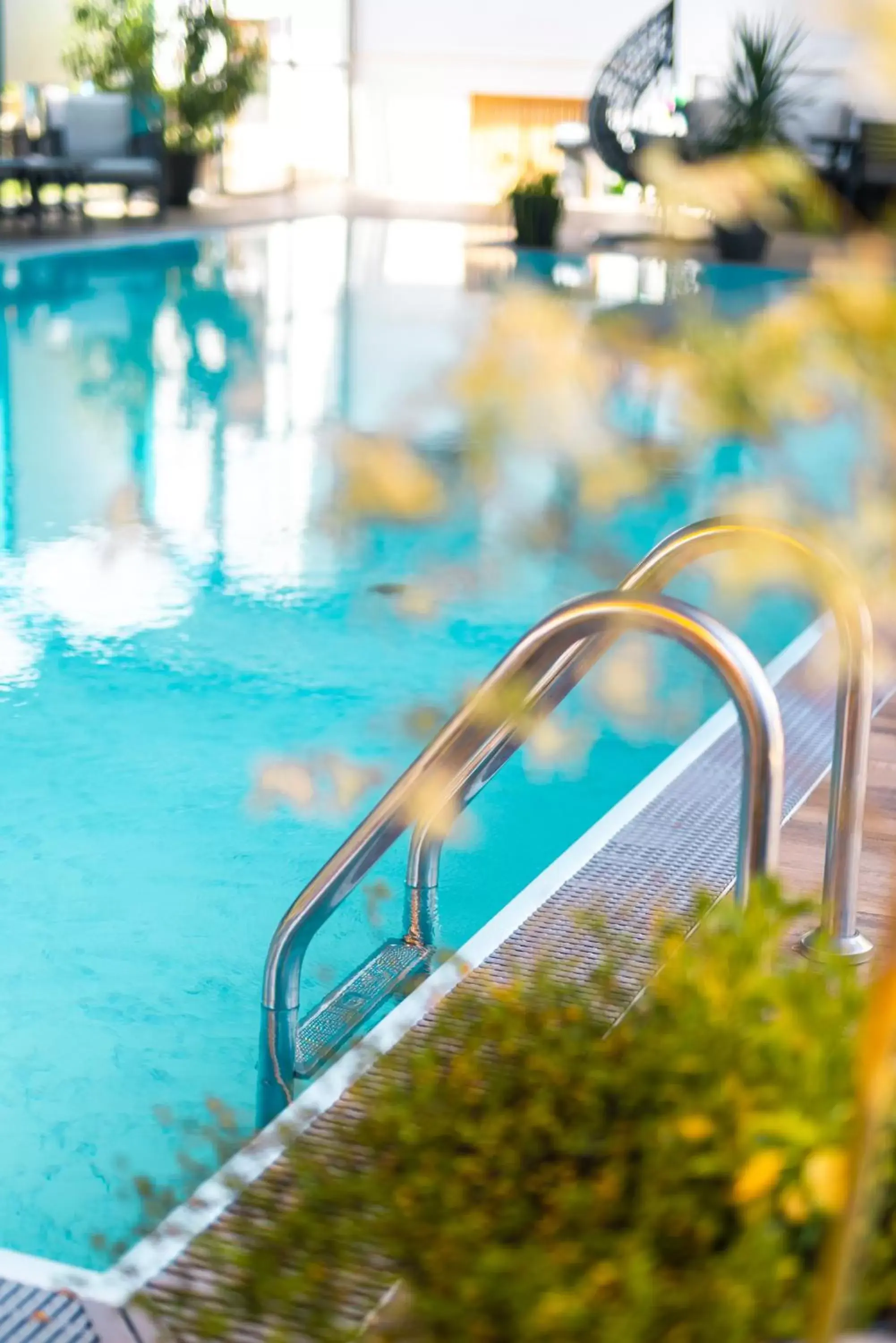 Pool view, Swimming Pool in Hotel Moarhof