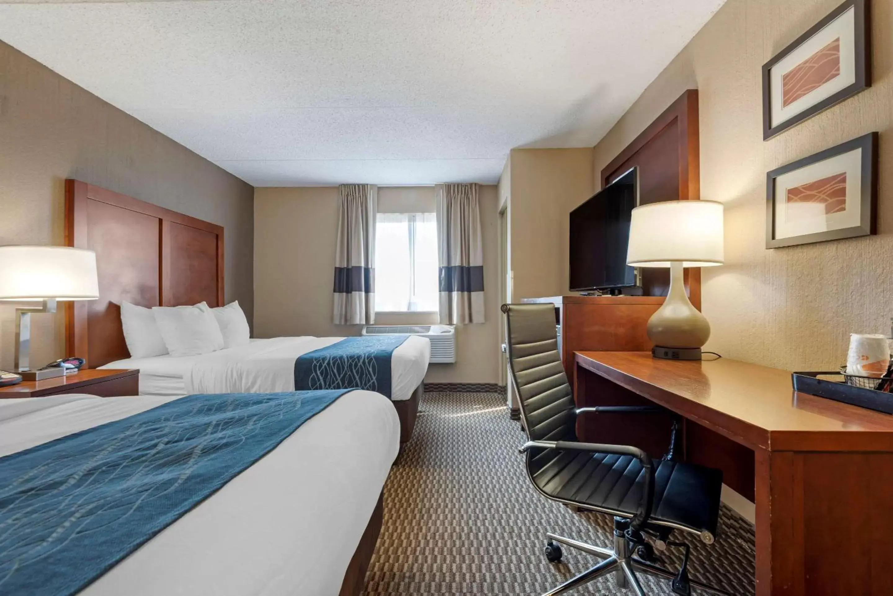 Photo of the whole room in Comfort Inn University