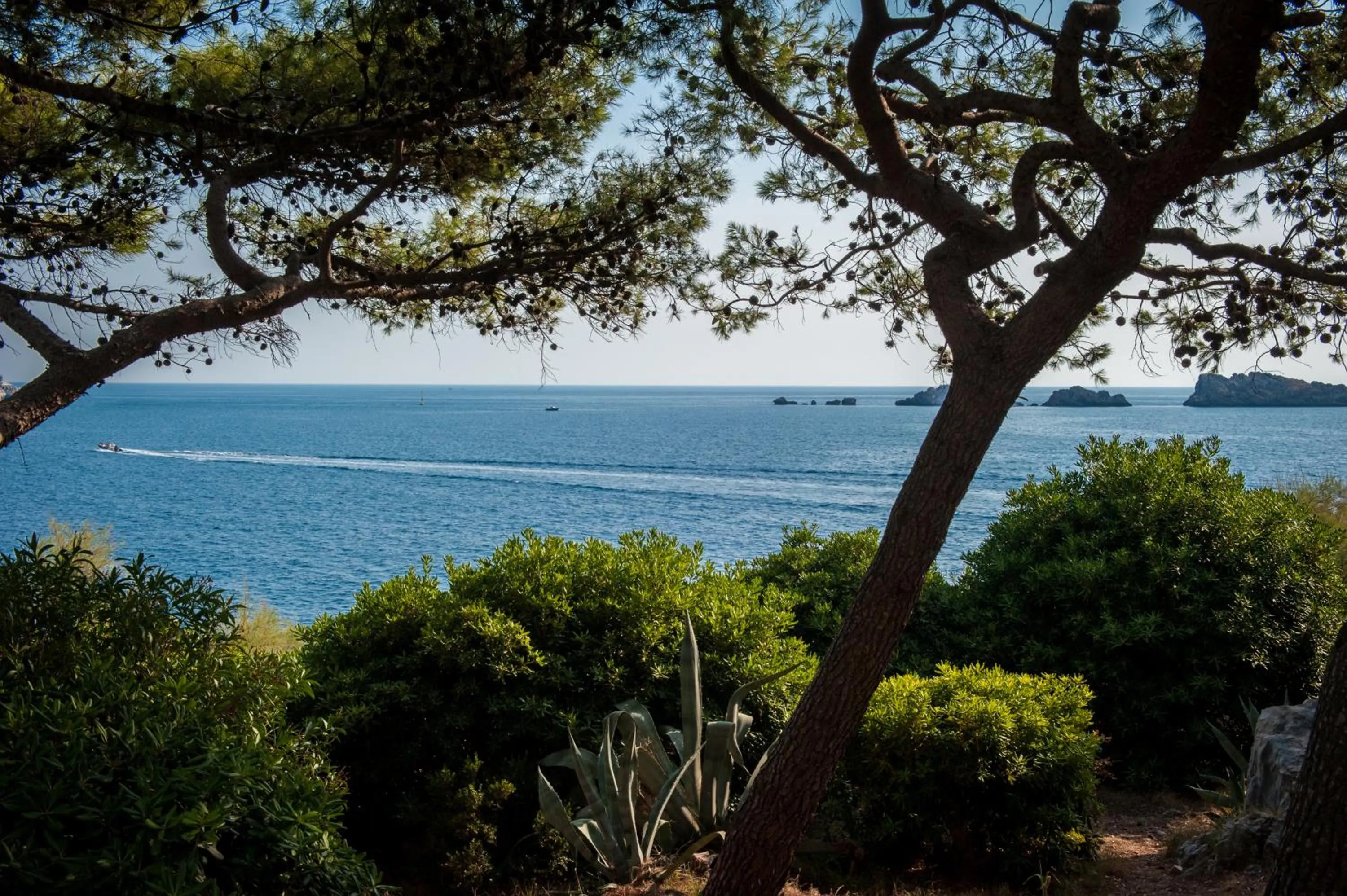 Beach in Royal Princess Hotel