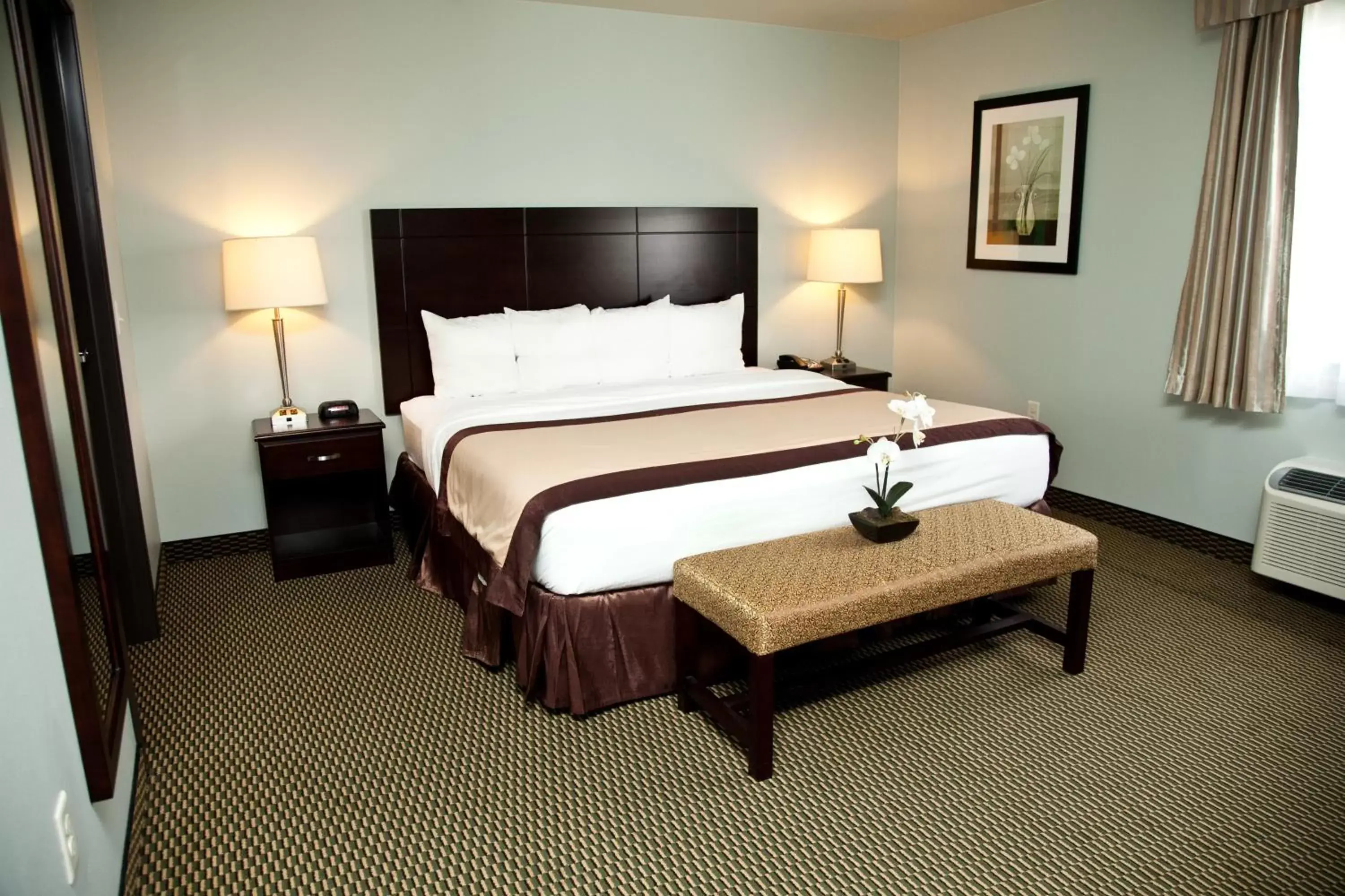 Day, Bed in Baymont by Wyndham Rapid City