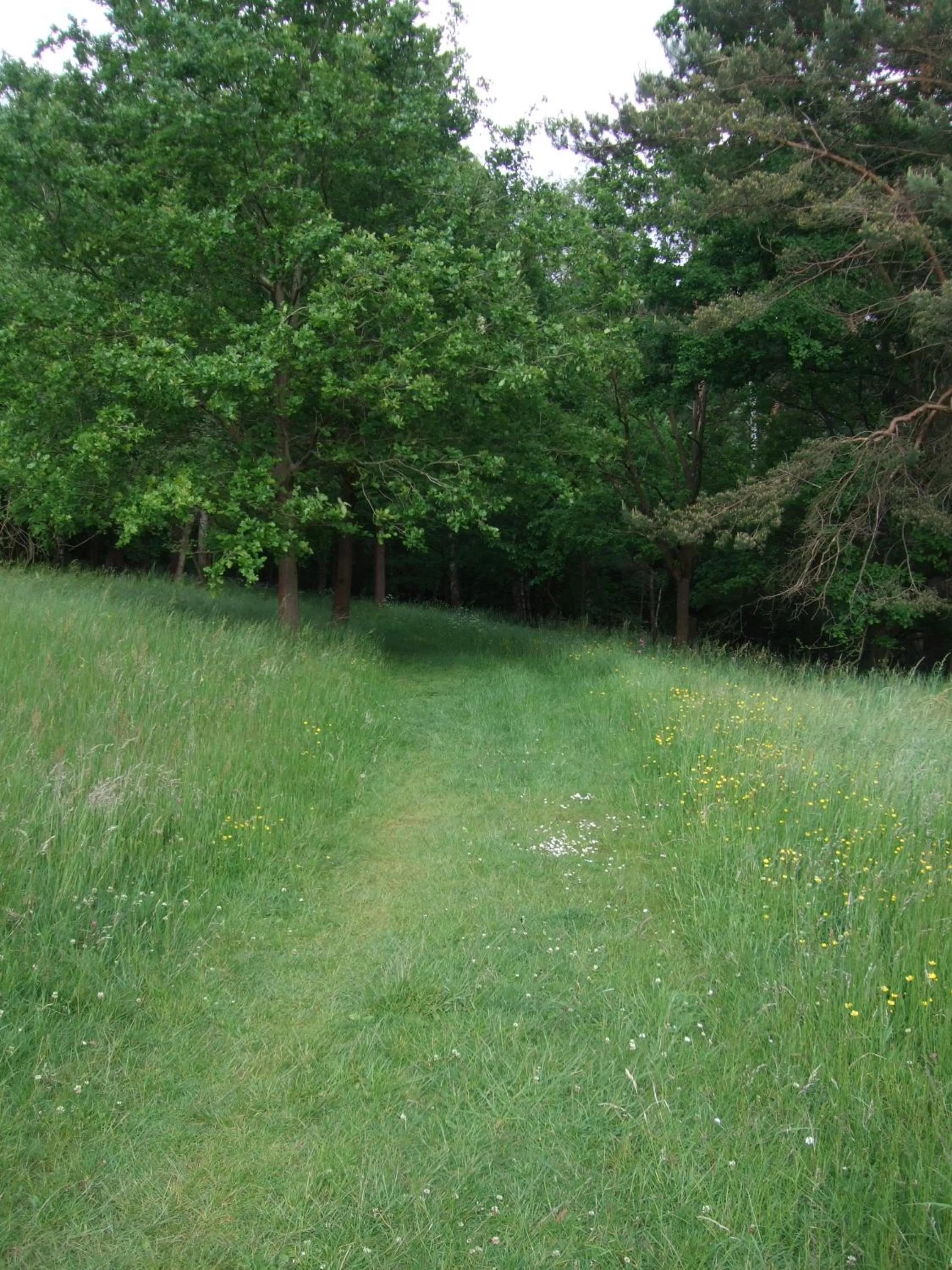 Natural landscape in Parkhotel Hammerberg