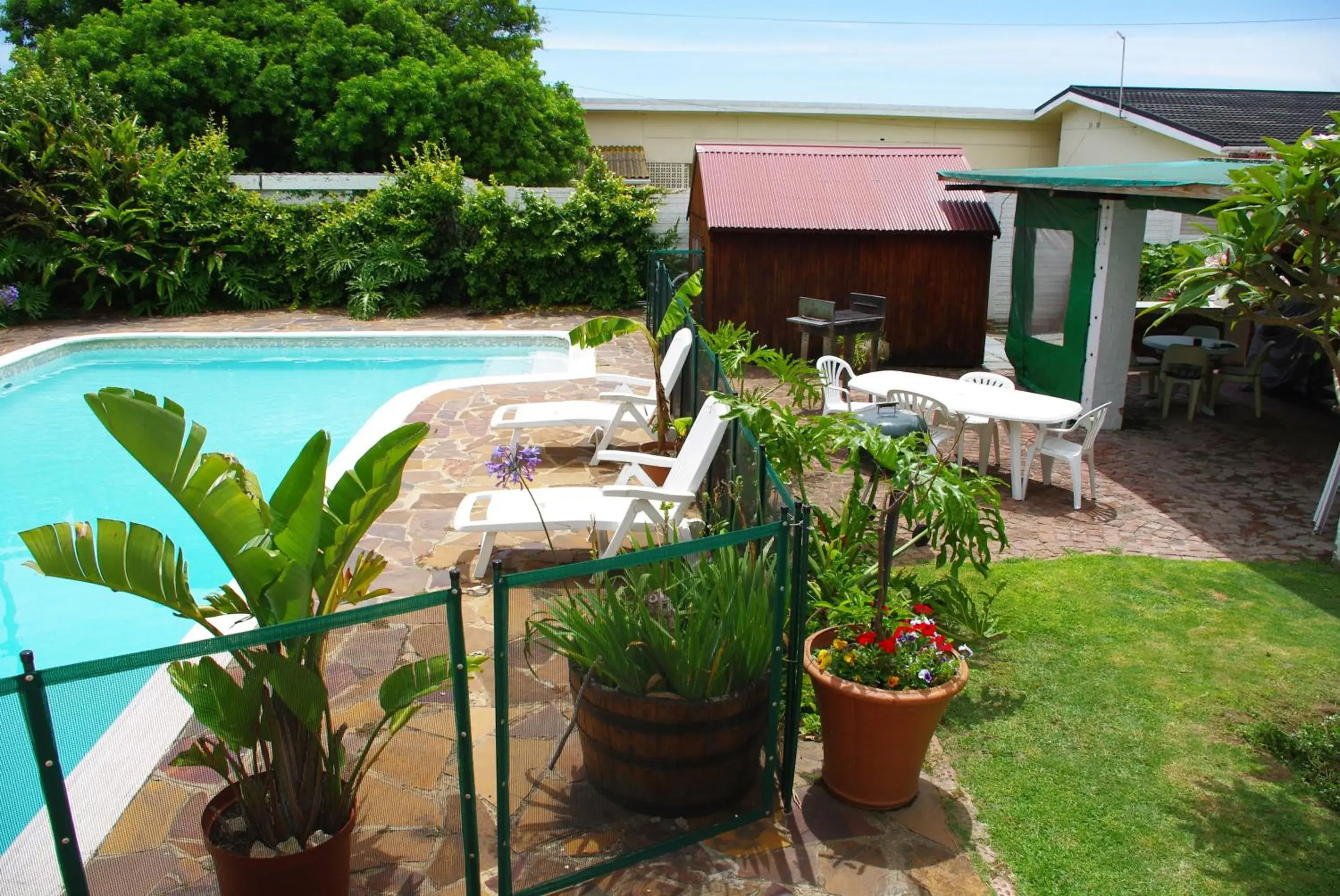 Garden, Pool View in Aqua Marine Guest House