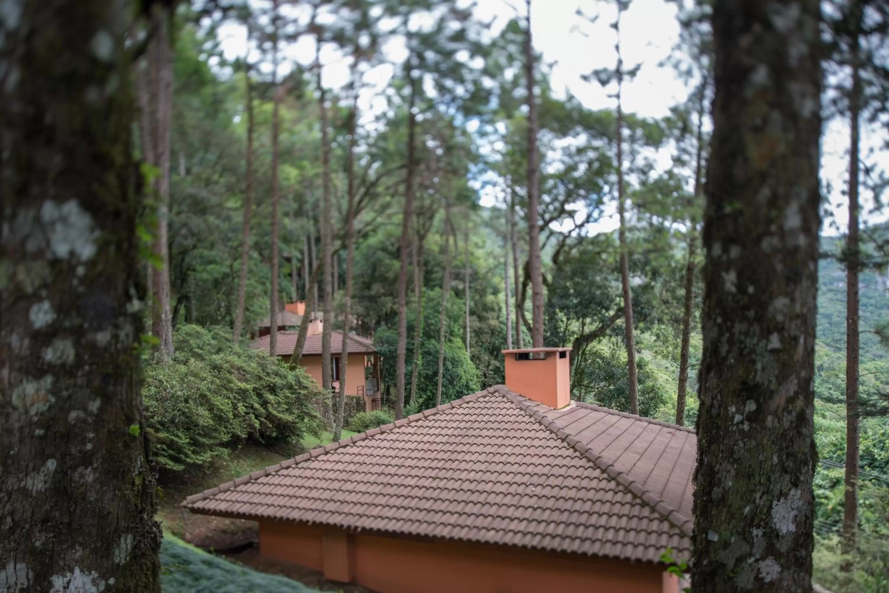 View (from property/room) in Kuriuwa Hotel