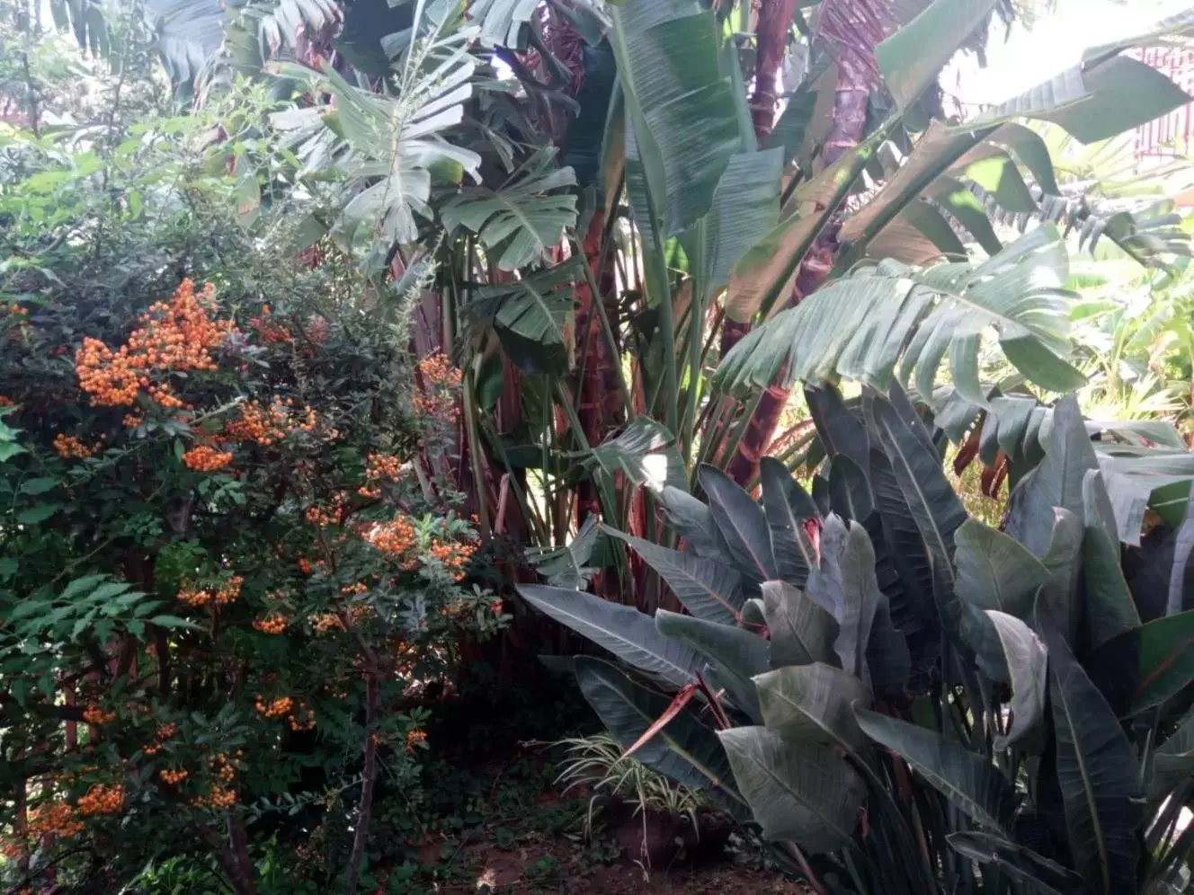 Garden in Stanza in Villa con giardino vista mare