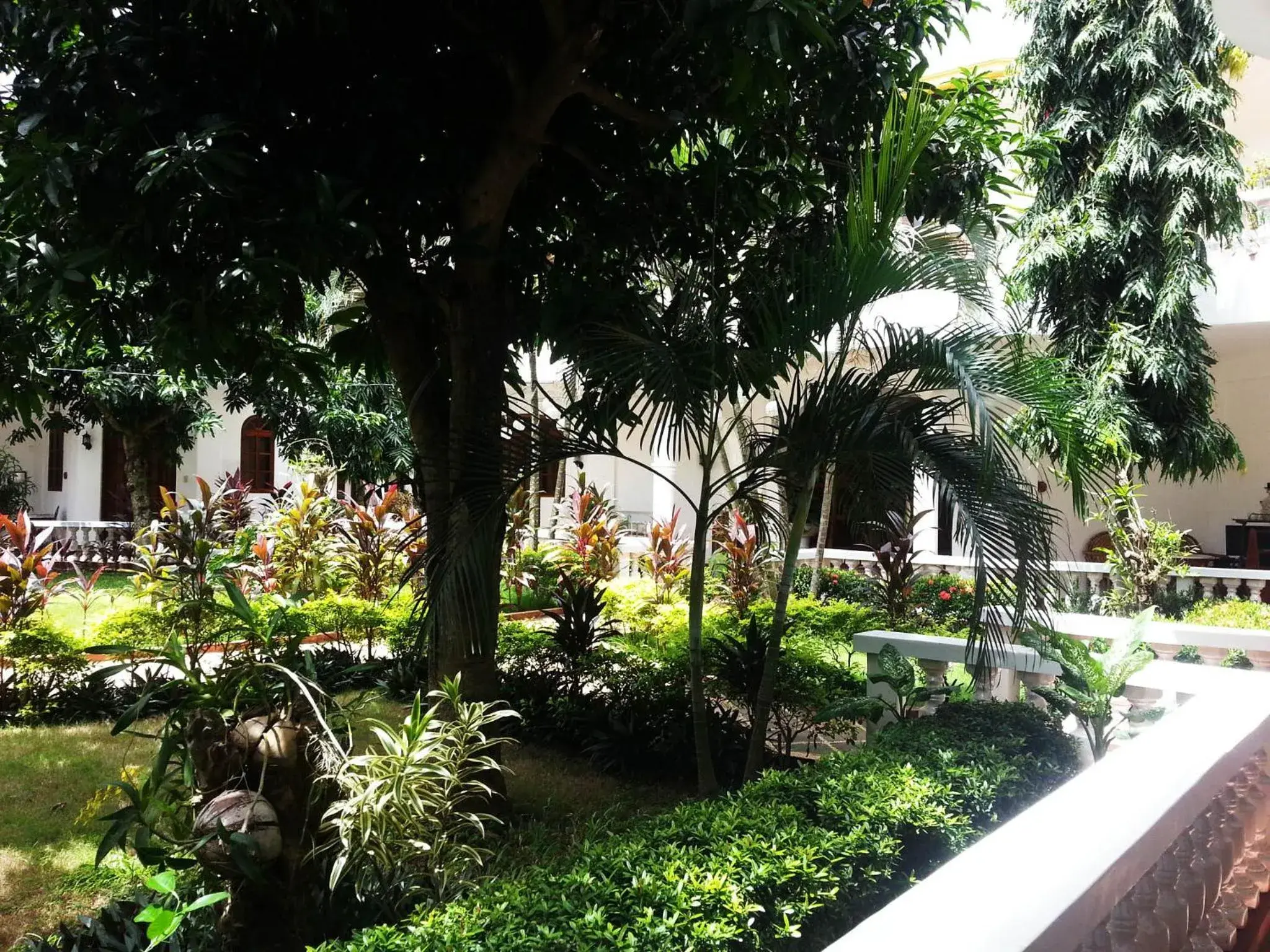 Garden in Dolce Vita Hotel