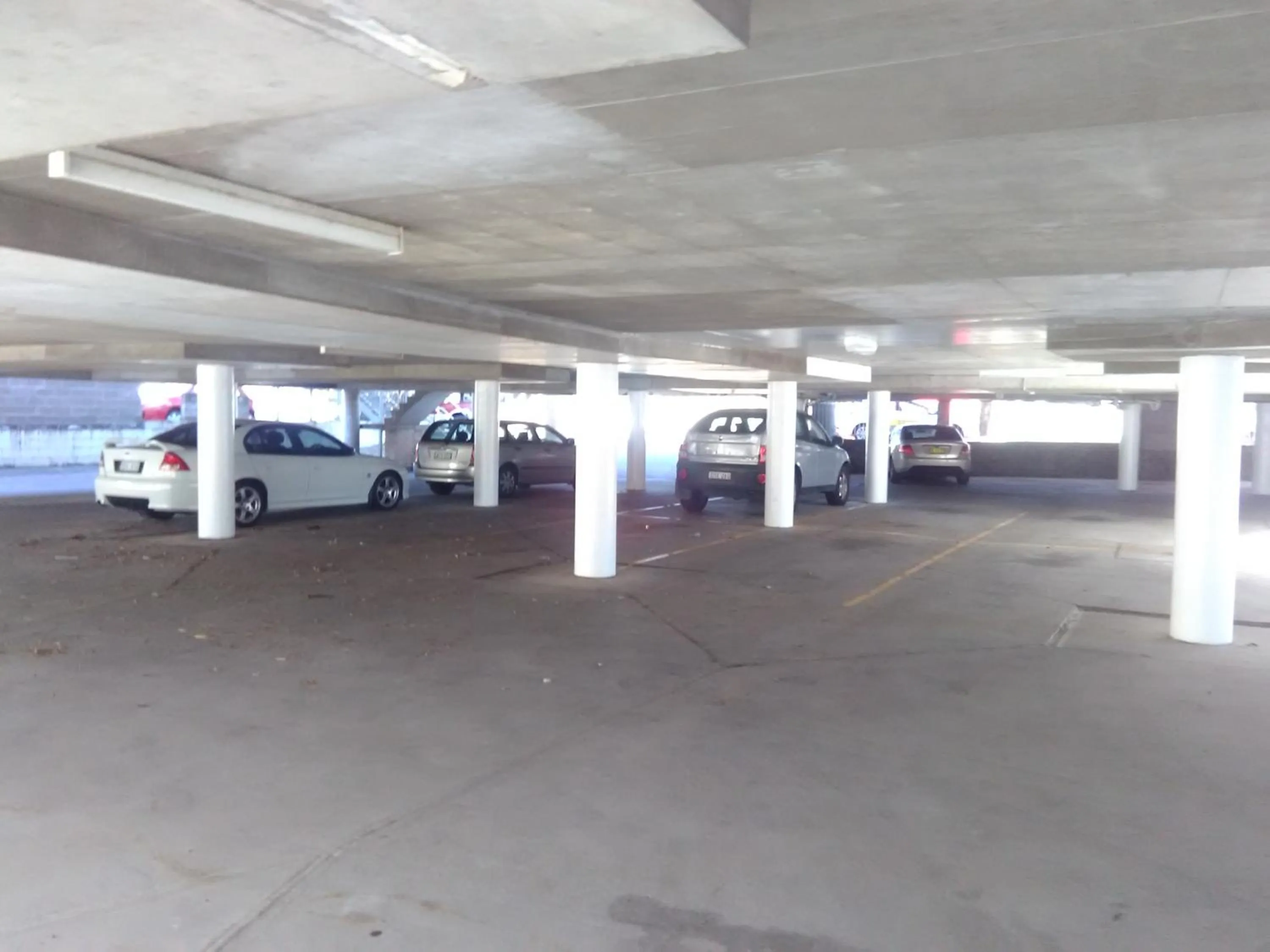 Area and facilities in Palm Court Motor Inn