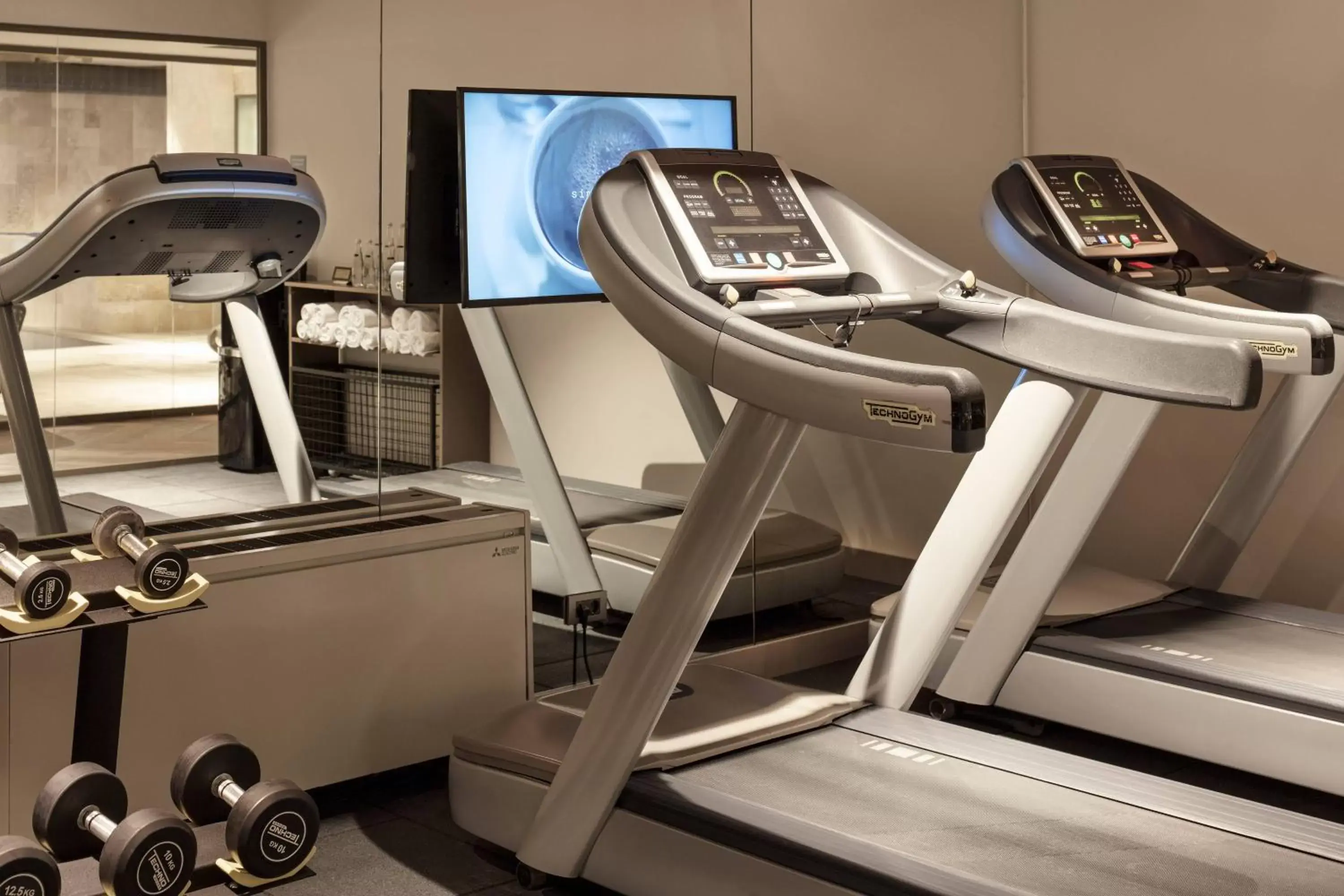 Fitness centre/facilities, Fitness Center/Facilities in Delta Hotels by Marriott Istanbul Kagithane