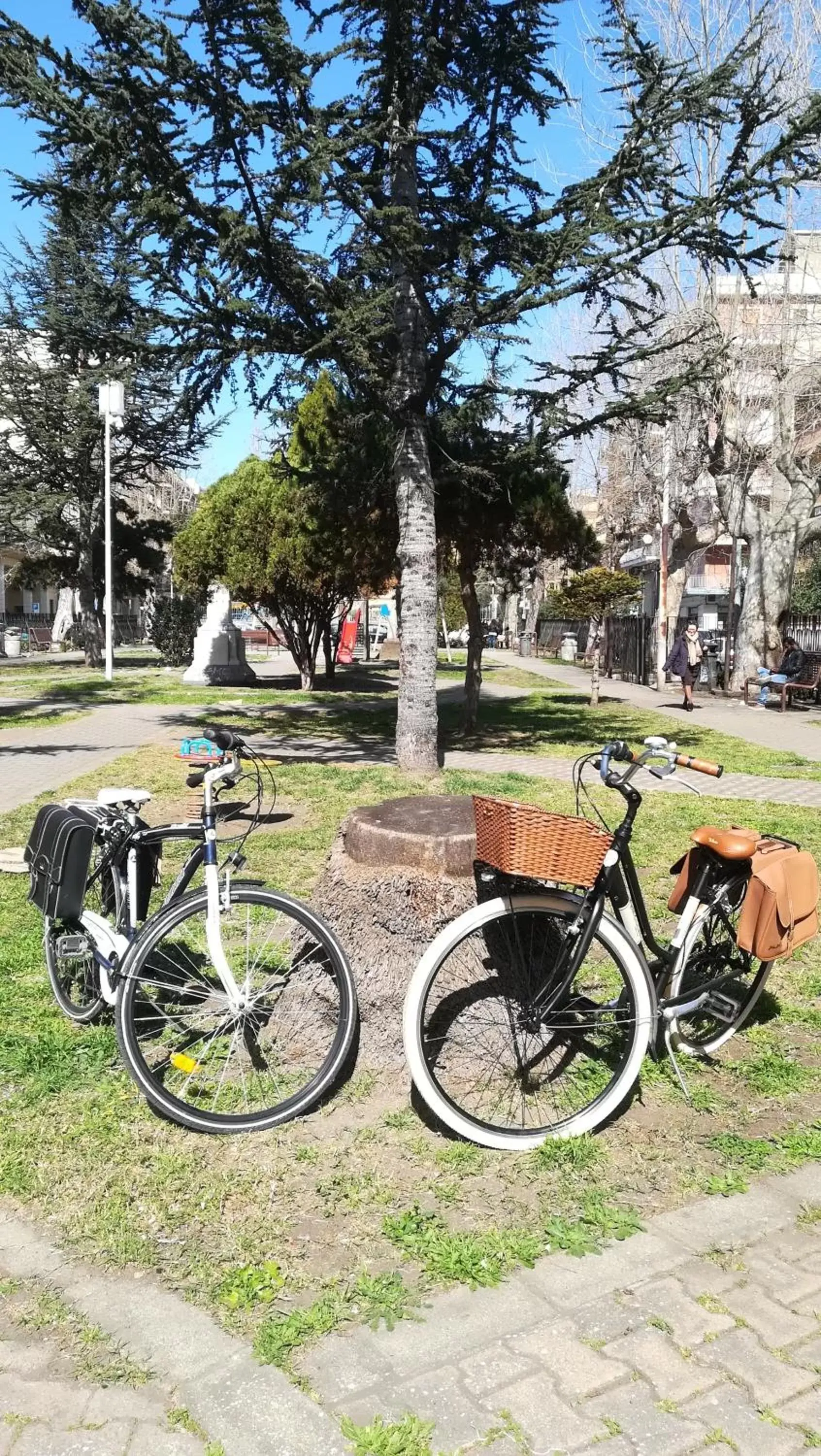 Cycling, Garden in Alterego B&B