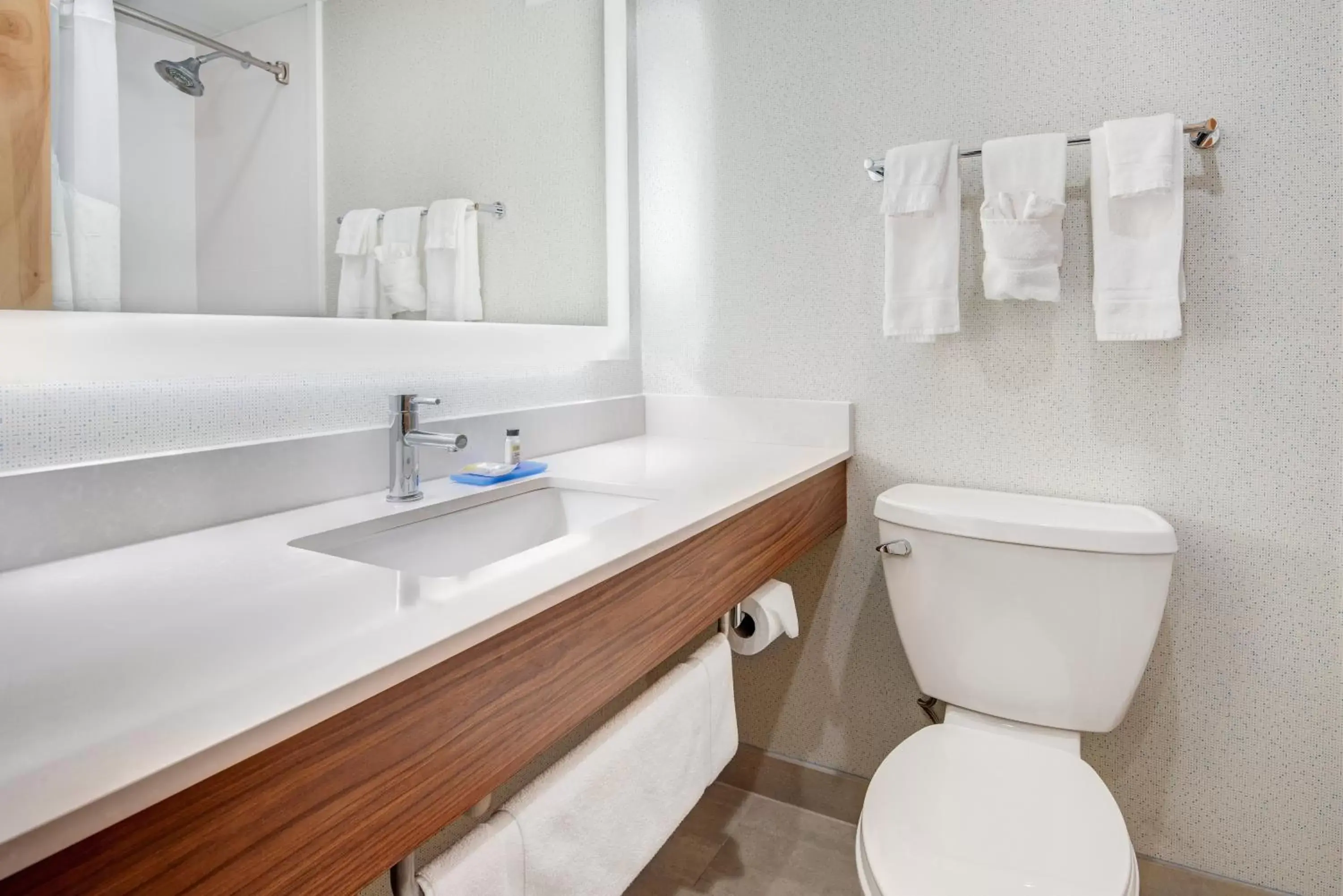 Bathroom in Holiday Inn Express & Suites West Long Branch - Eatontown, an IHG Hotel