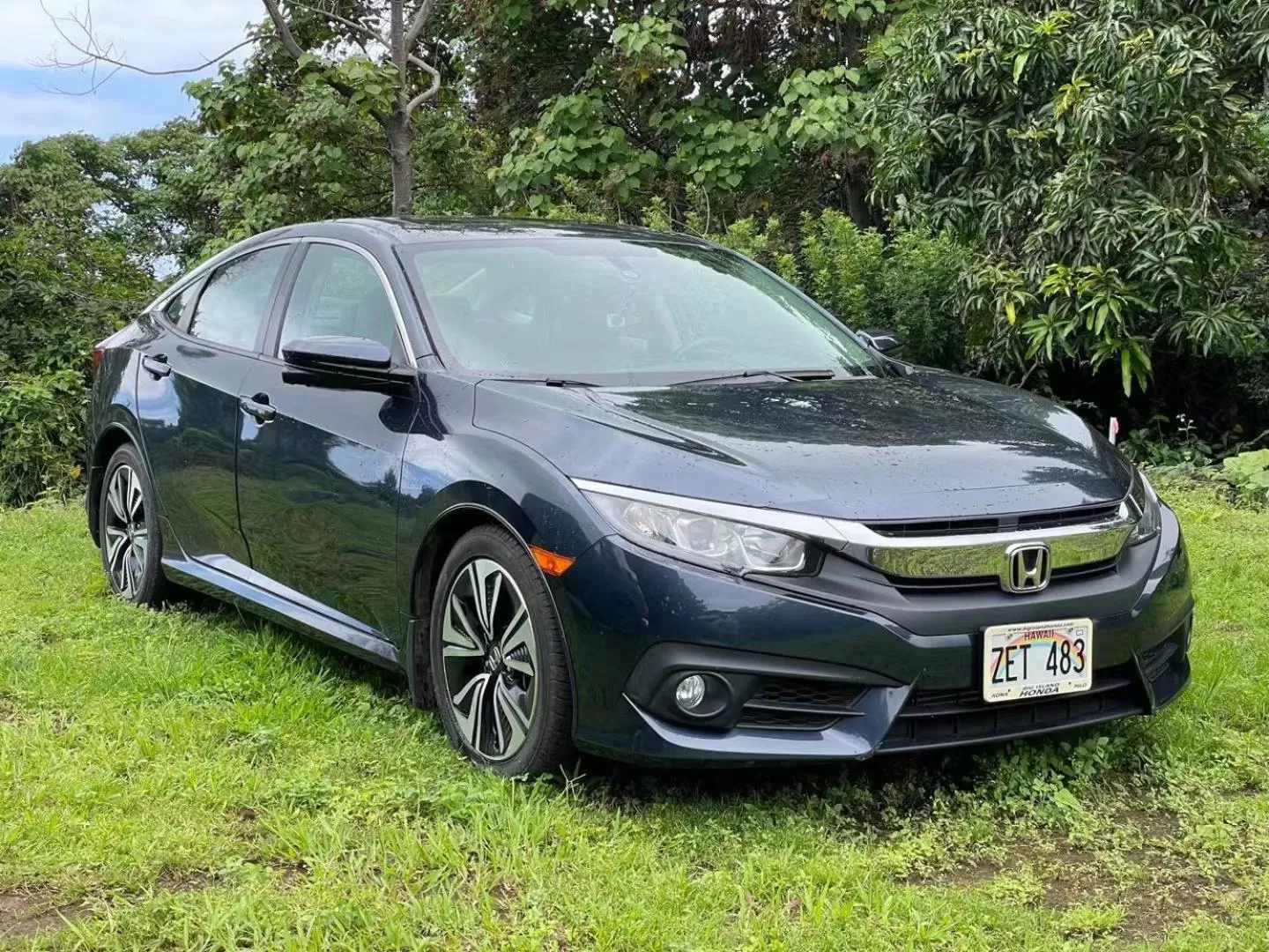 Property building in Coffee Garden