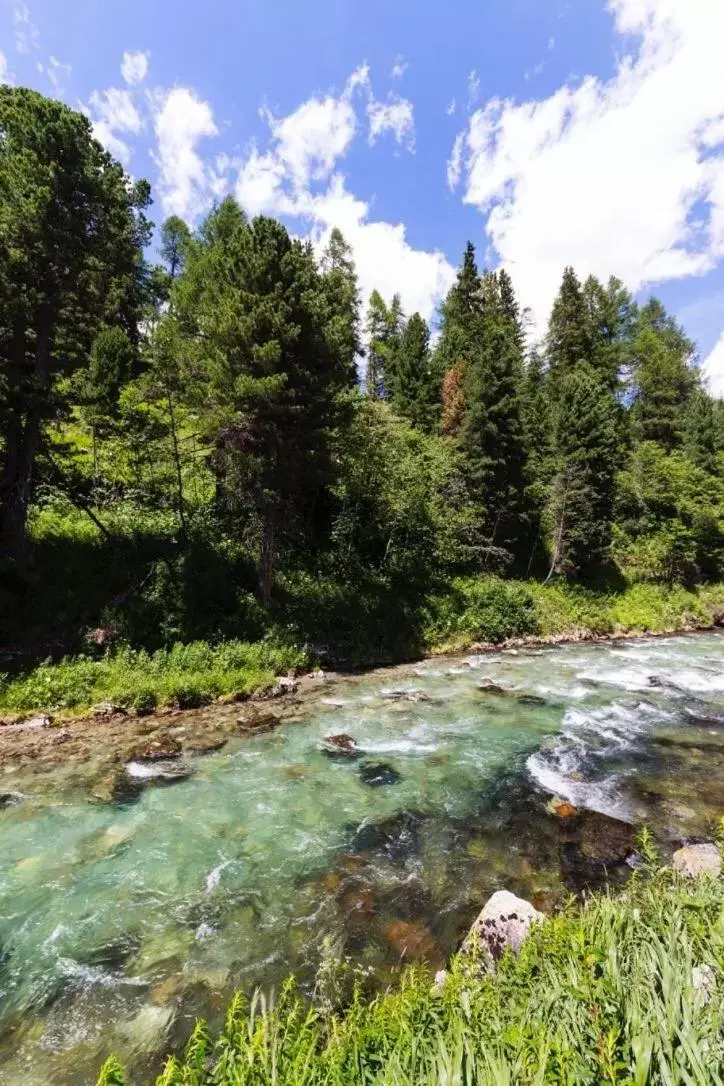 Natural Landscape in b&b River Inn