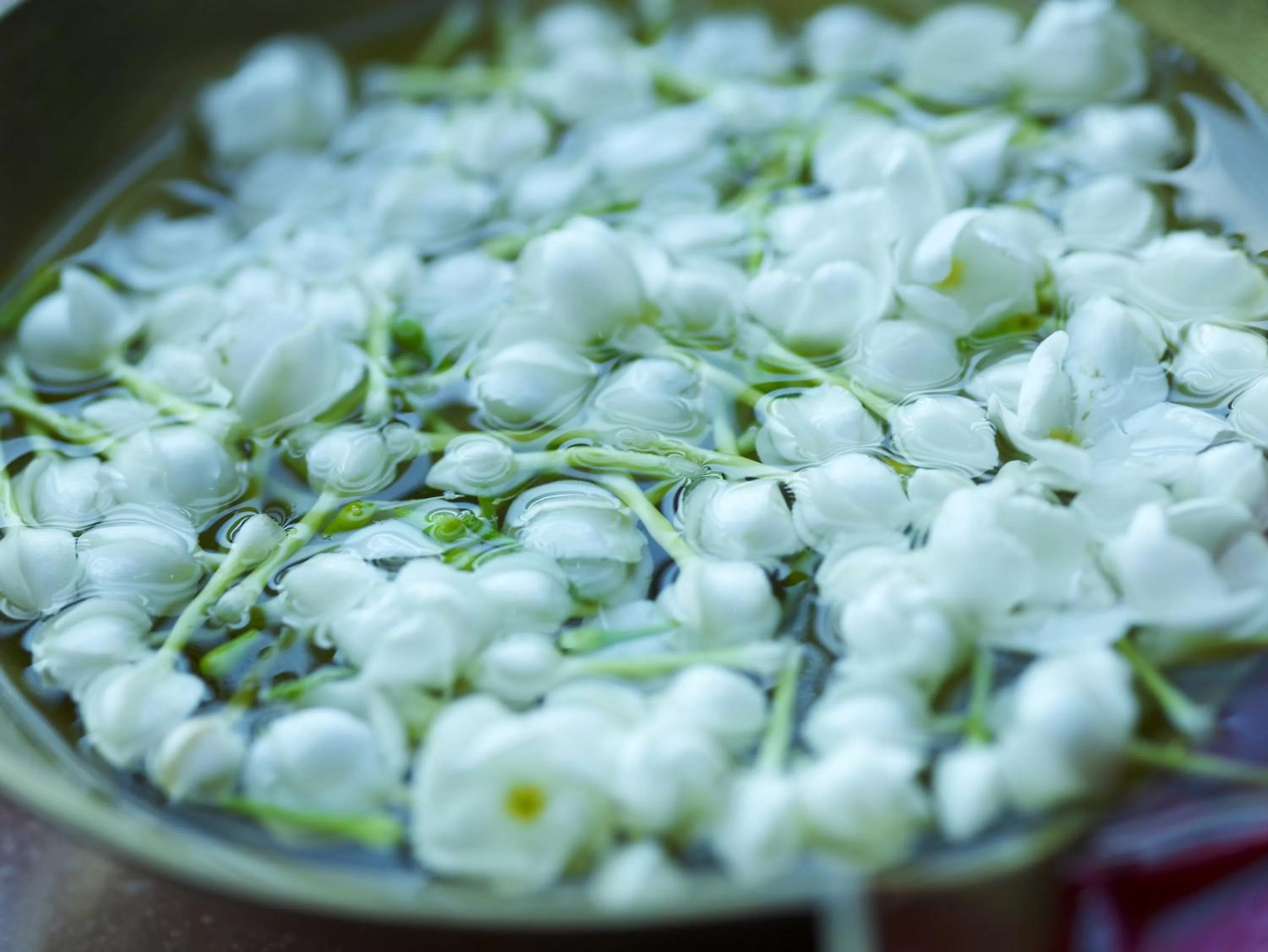 Other in Taj Nadesar Palace
