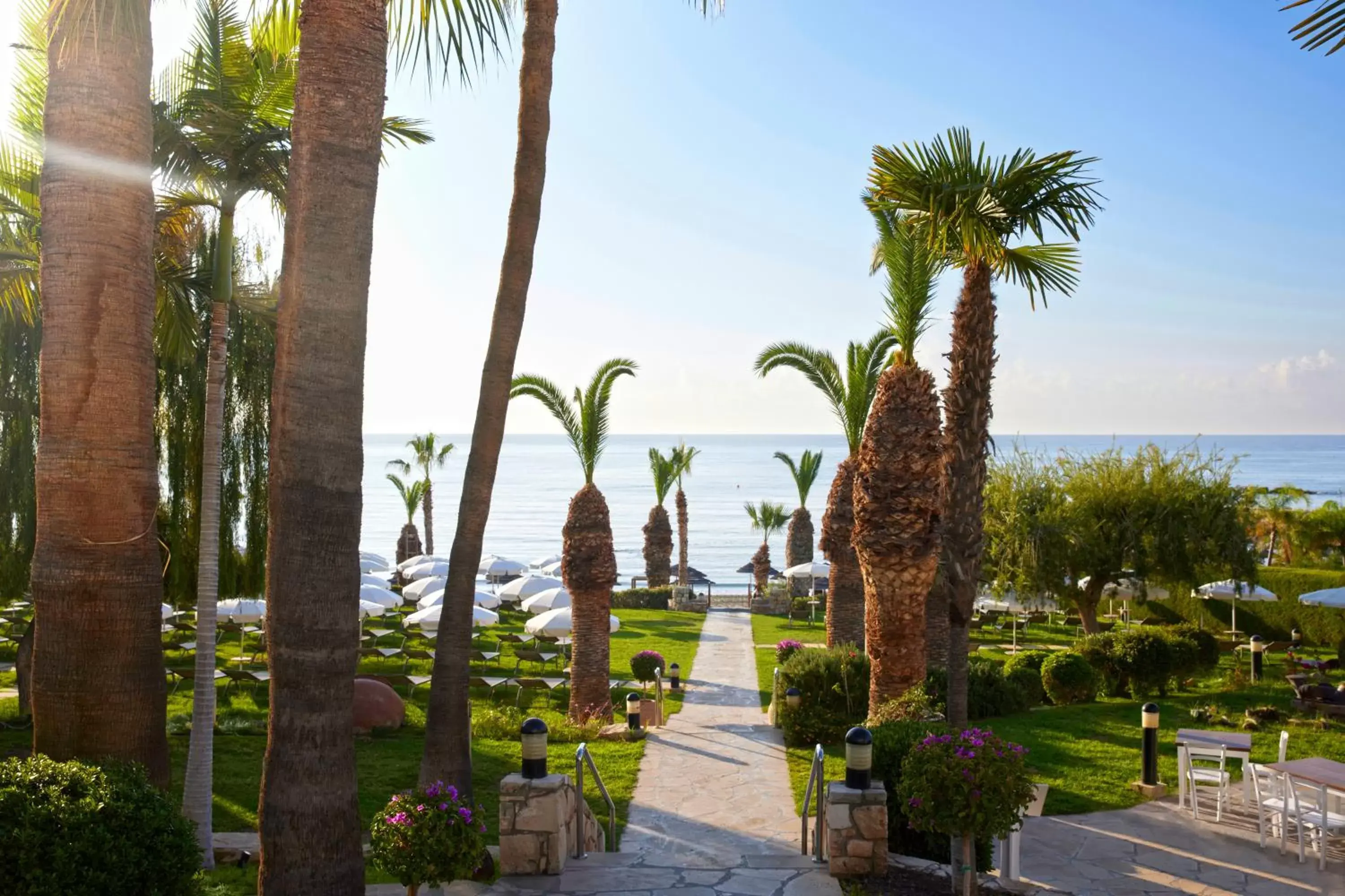 Natural landscape in Mediterranean Beach Hotel