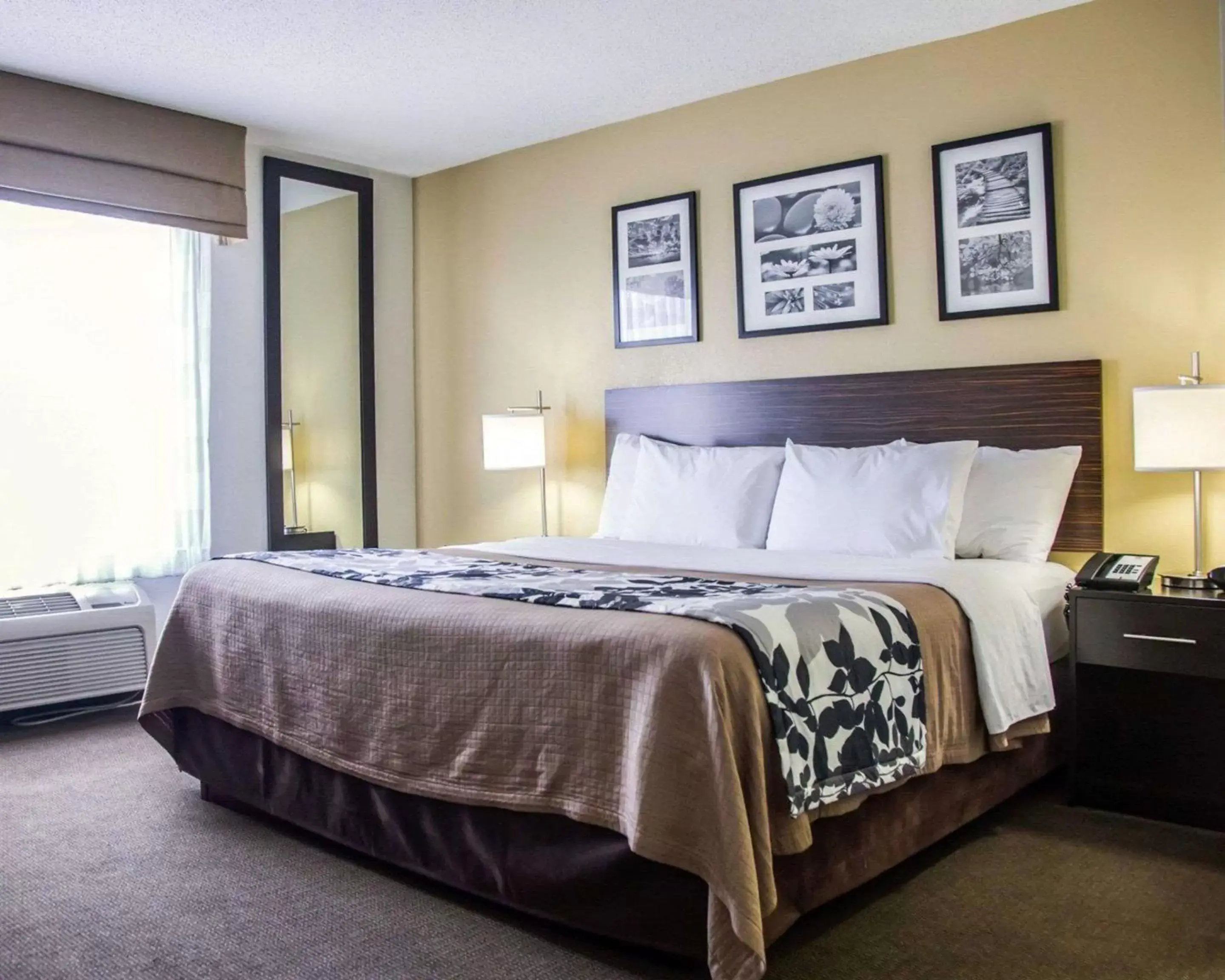 Photo of the whole room, Bed in Sleep Inn Tinley Park I-80 near Amphitheatre-Convention Center