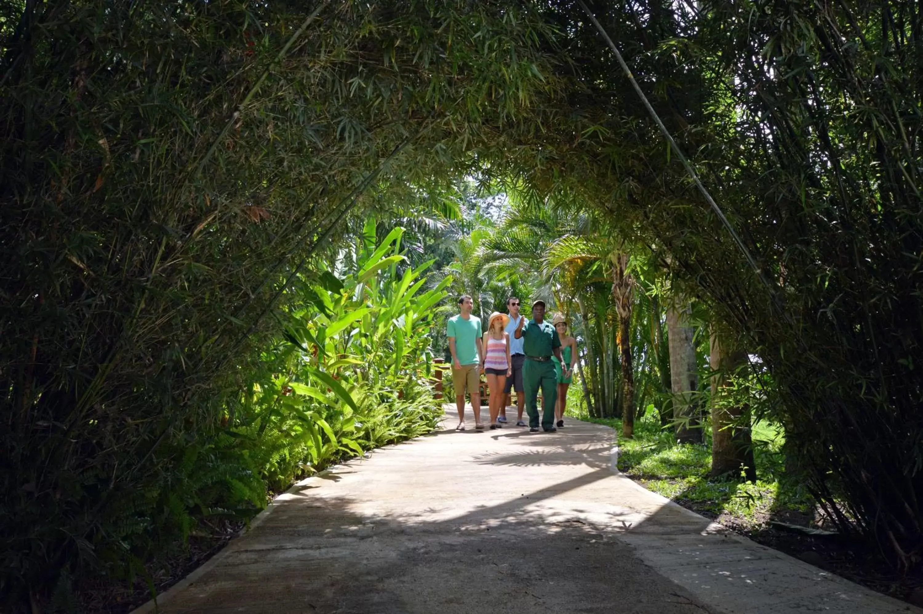 group of guests in Sunset at the Palms Resort - Adults Only - All Inclusive