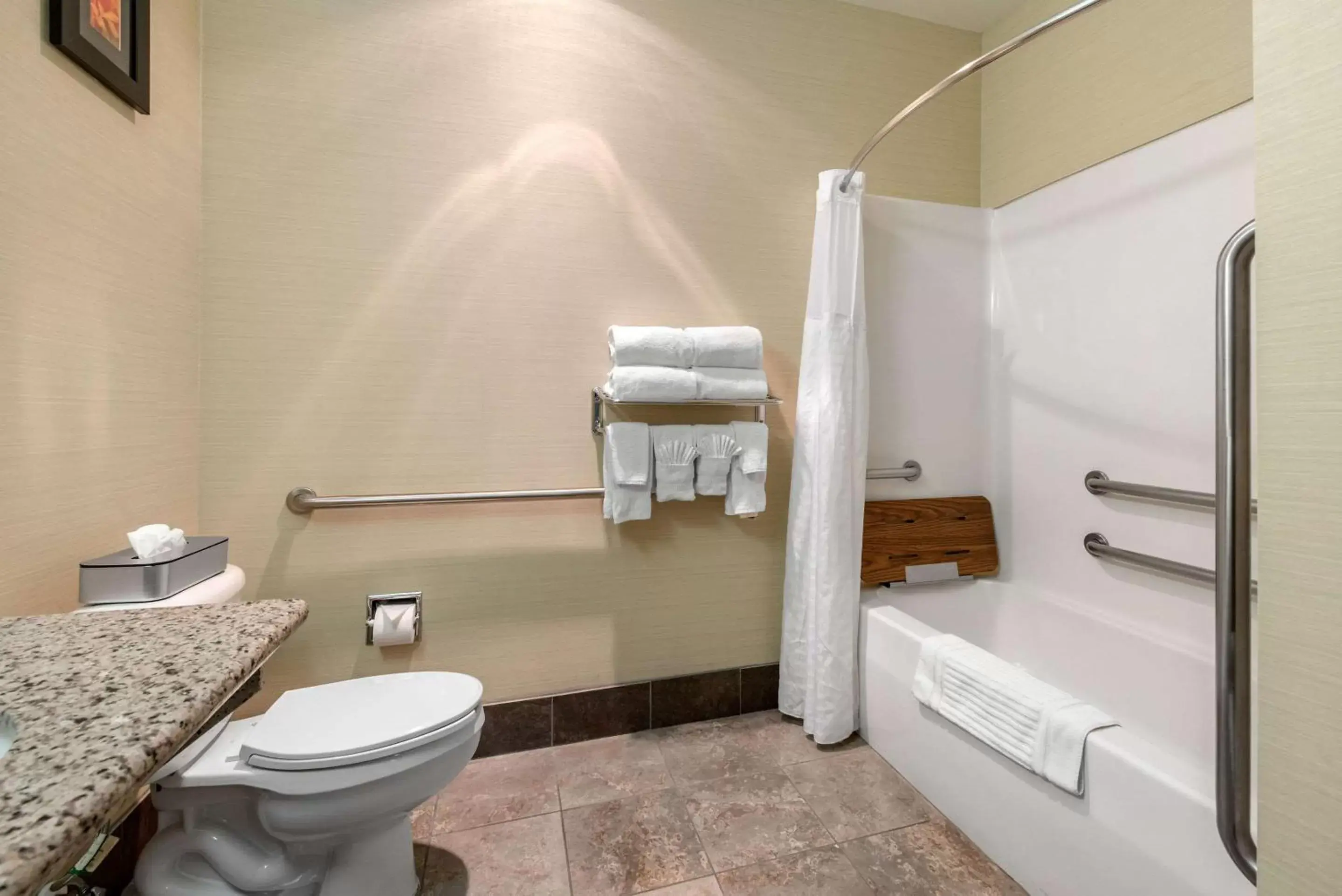 Photo of the whole room, Bathroom in Comfort Suites Denver Tech Center/Englewood