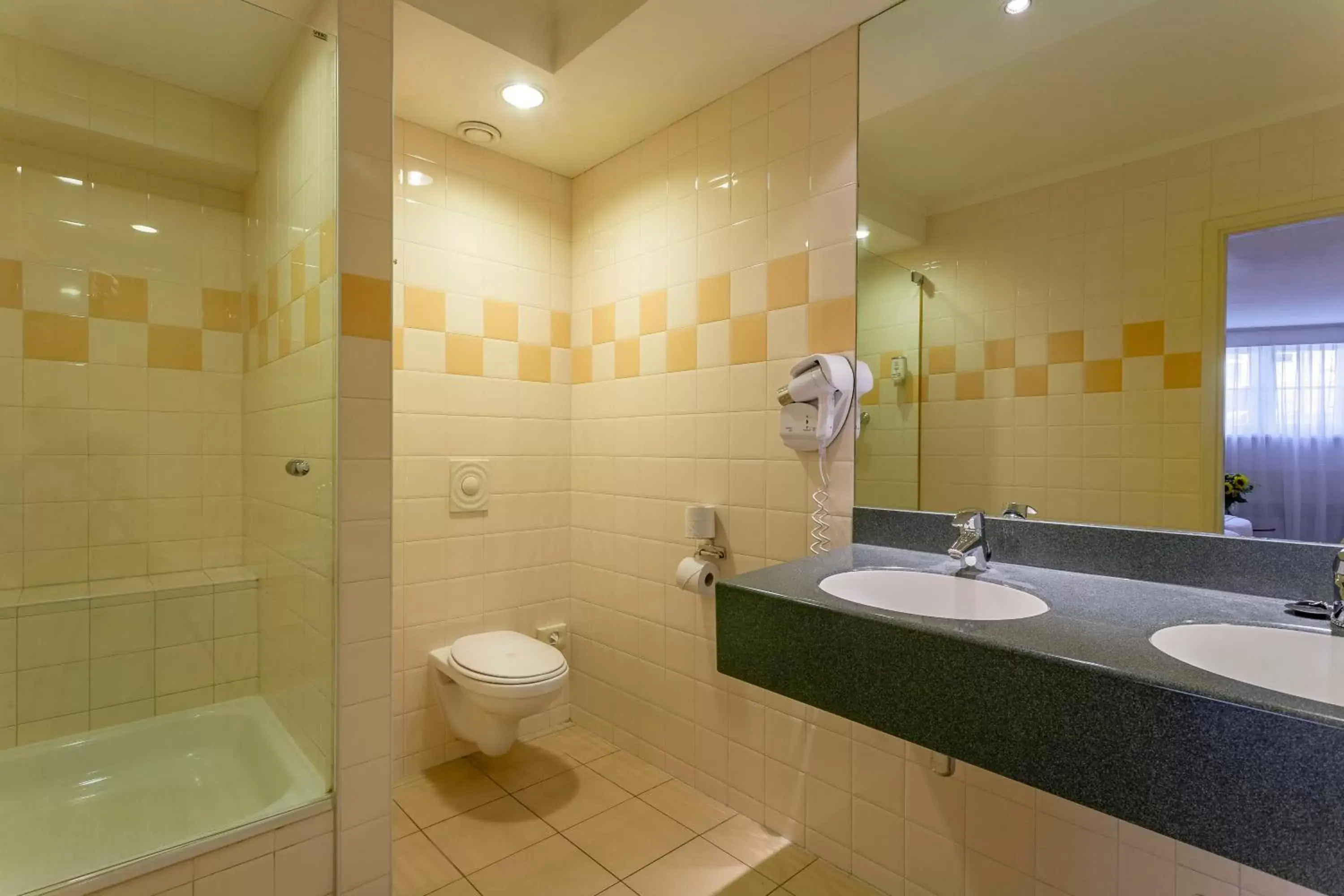 Toilet, Bathroom in Avenue Hotel