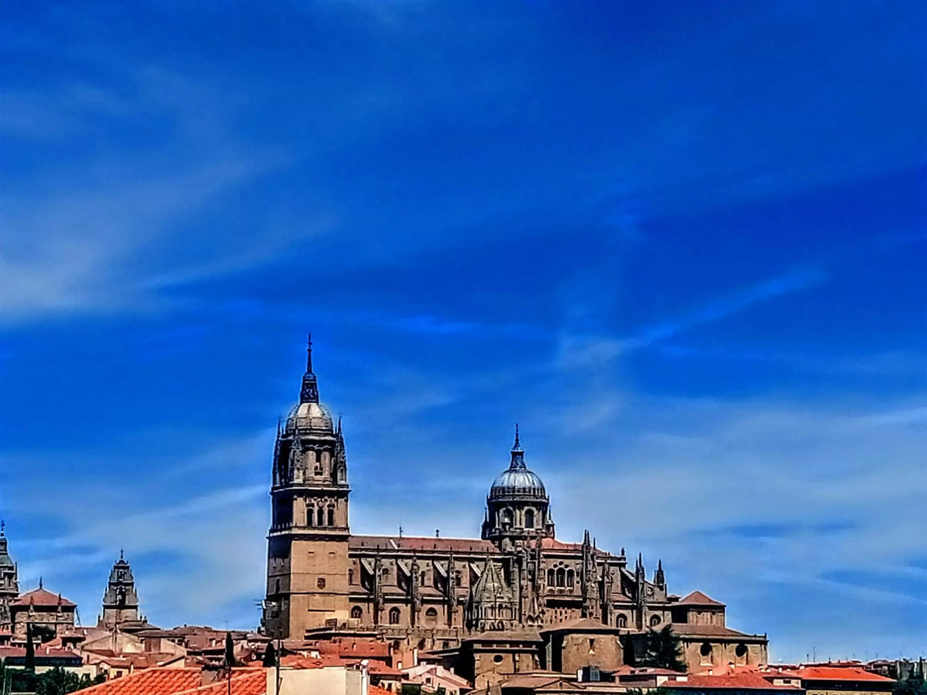 Nearby landmark in Hotel Ele Puente Romano de Salamanca