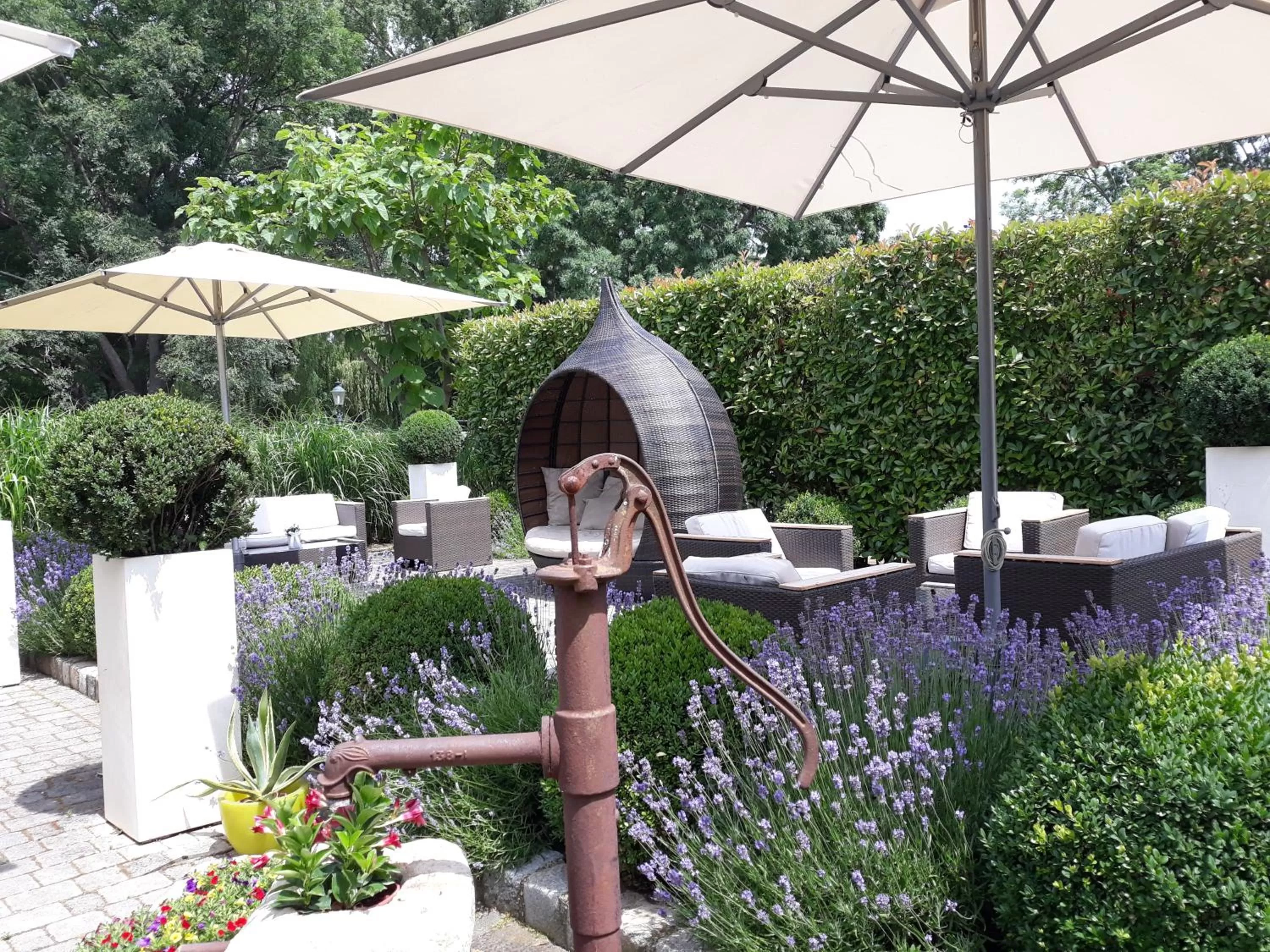 Restaurant/places to eat in BIRKENHOF - Tag und Nacht perfekt verbracht!