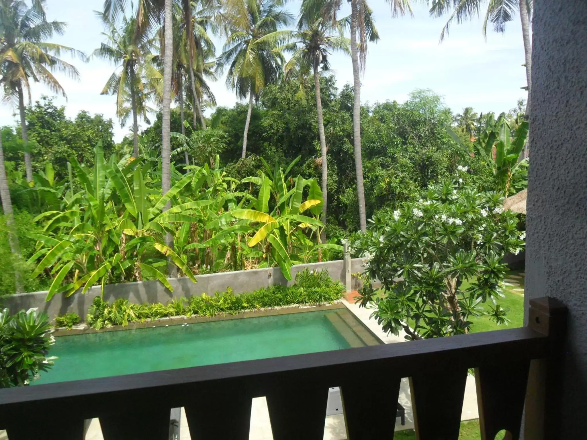 Swimming pool, Pool View in Ju'Blu Hotel