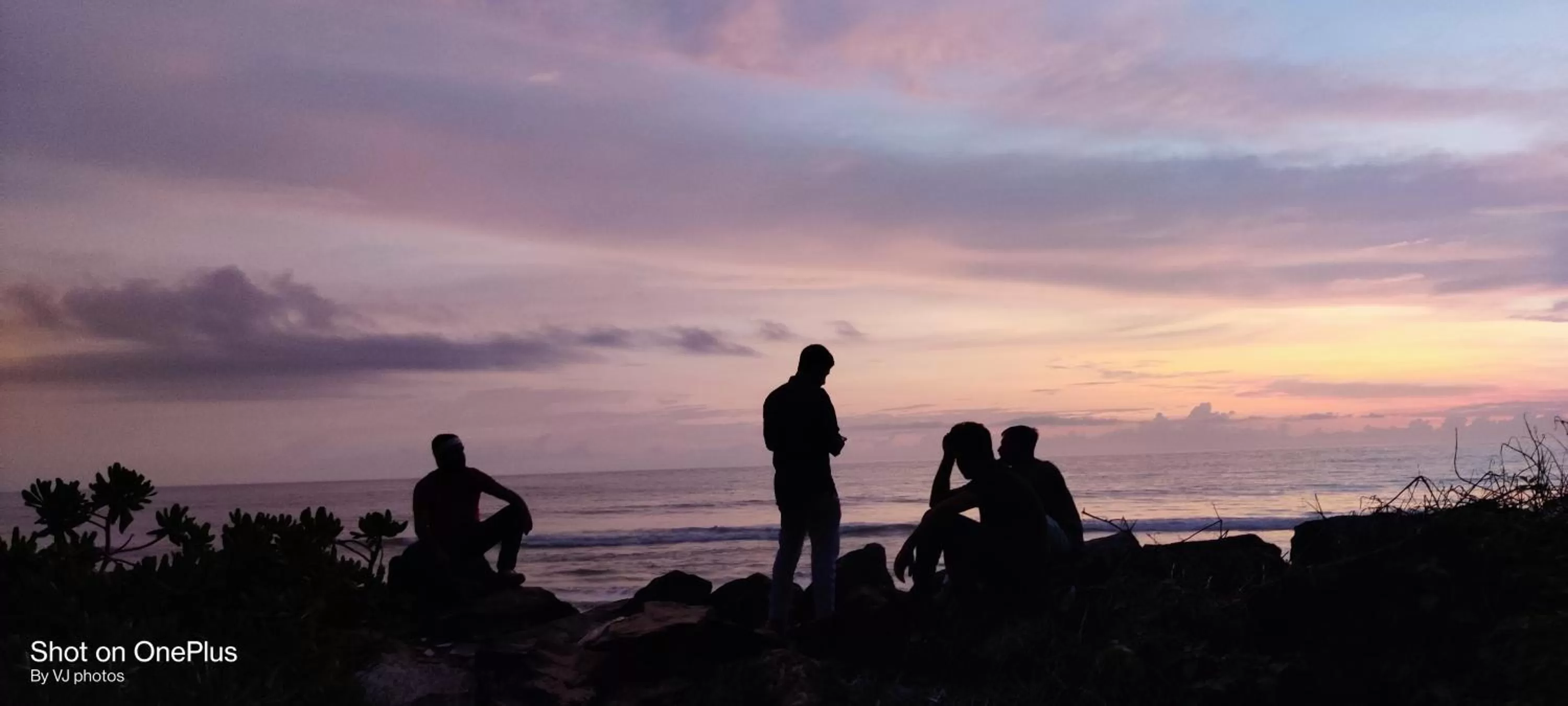 Beach in White Shell