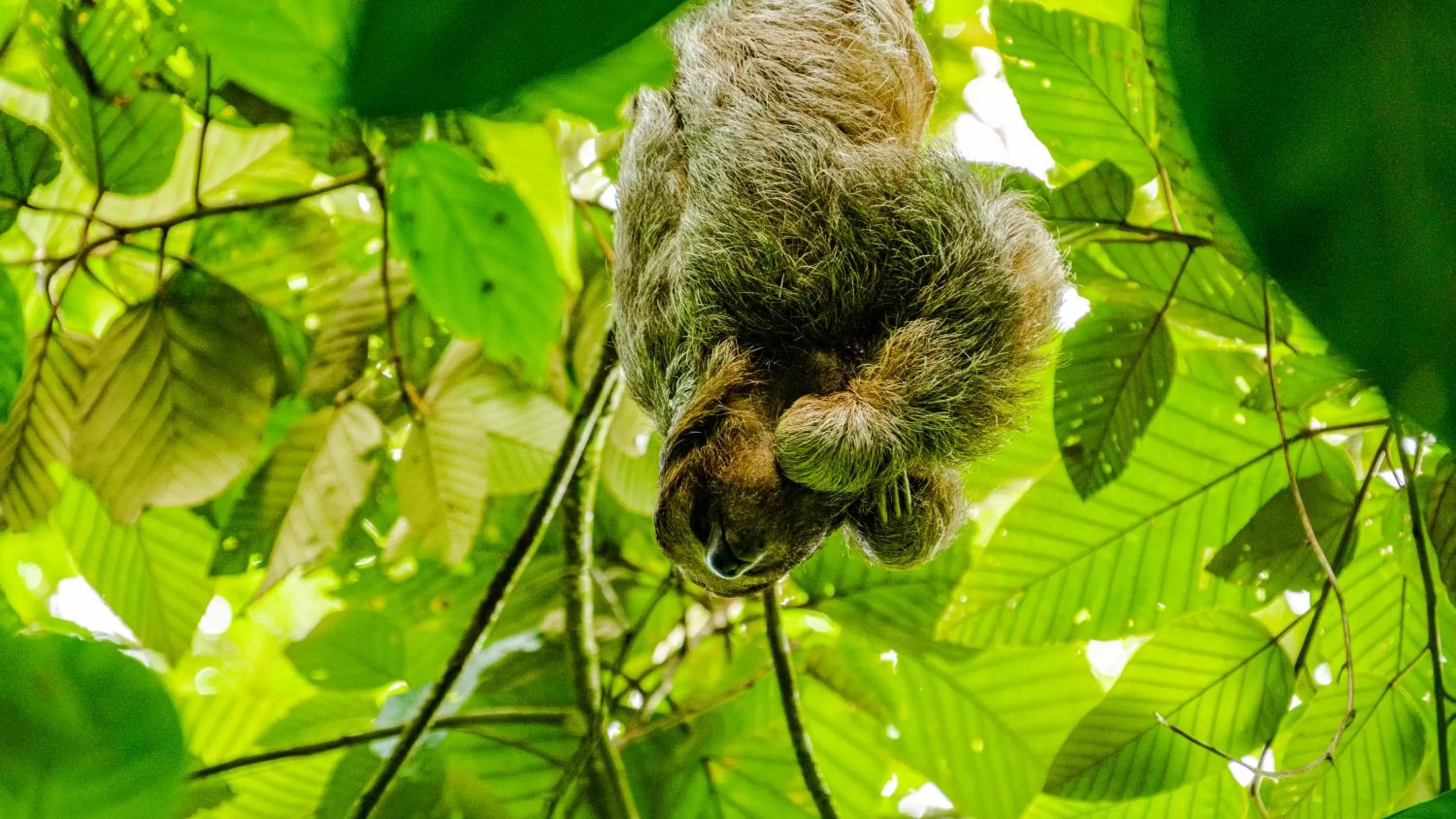 Property building in Agutipaca Bungalows
