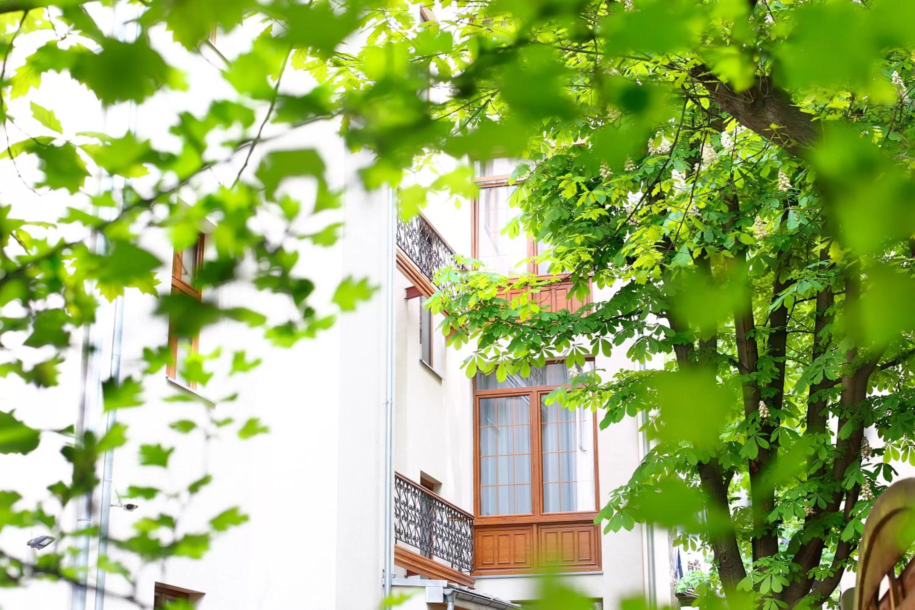 Garden in Amber Boutique Hotels - Amber Design