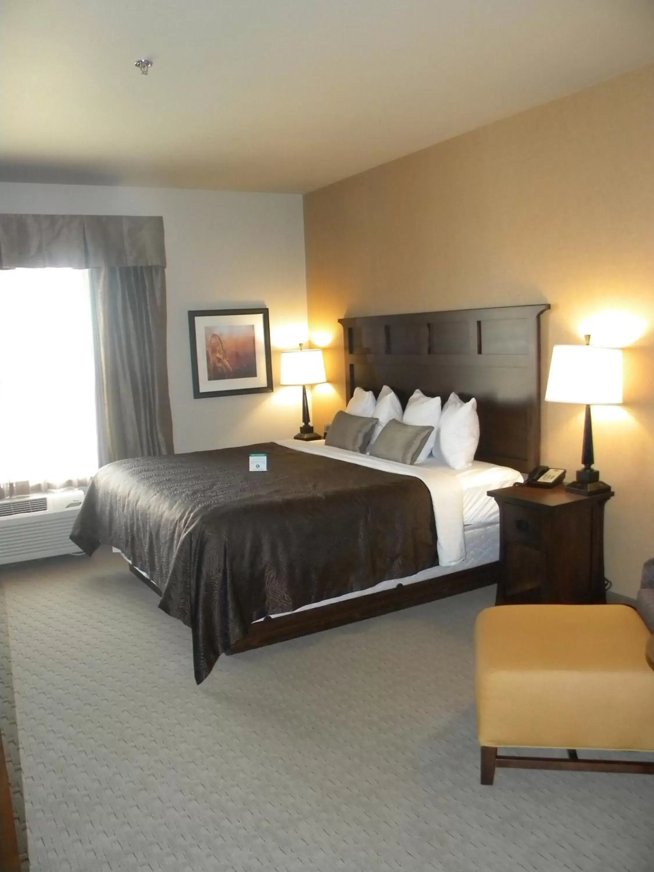 Luxury King Room in Teddy's Residential Suites Watford City