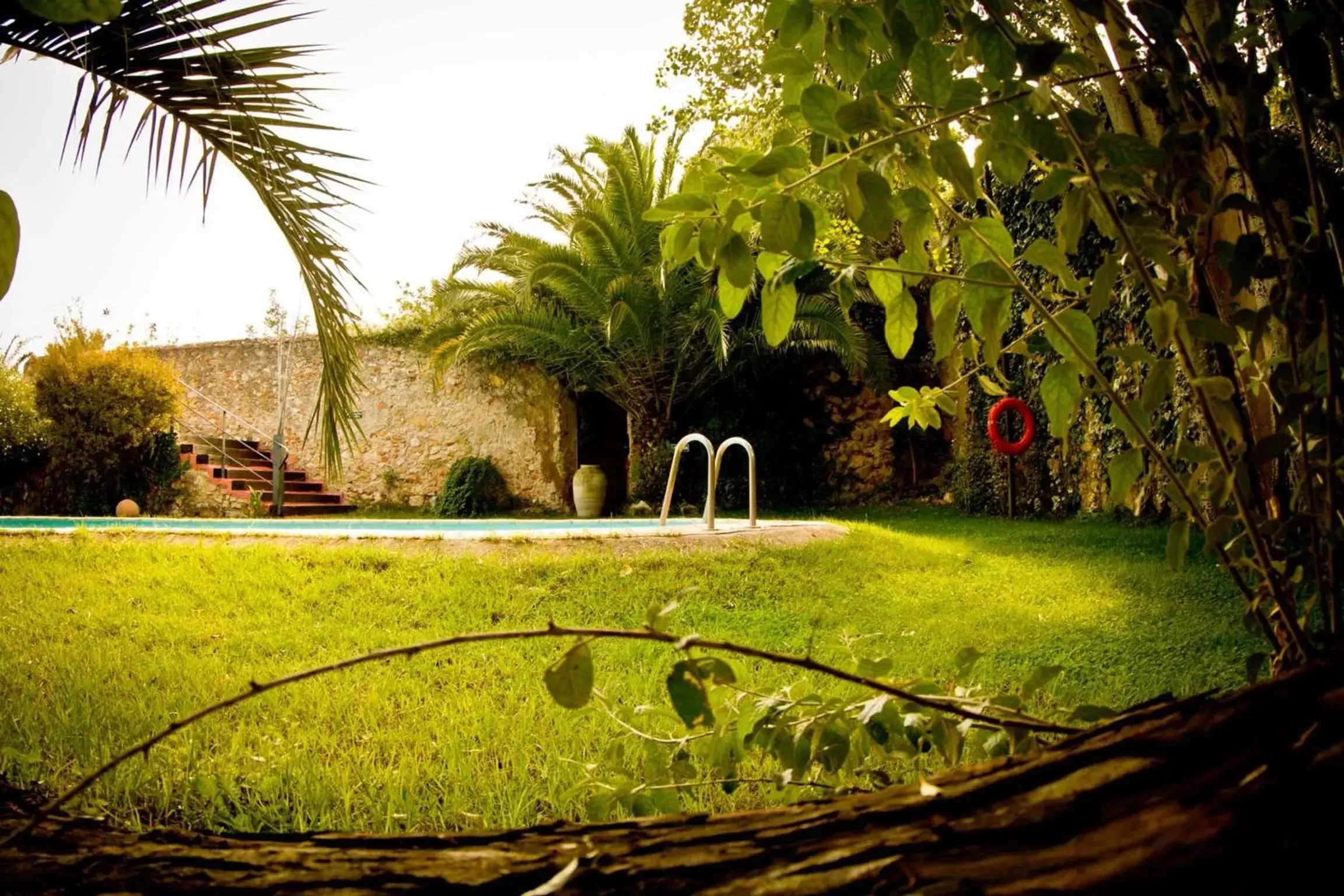 Swimming pool, Garden in Mont-Sant