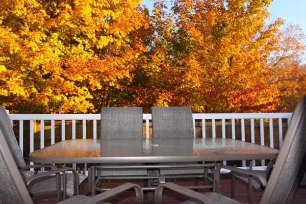 Patio/Outdoor Area in Gite Confort