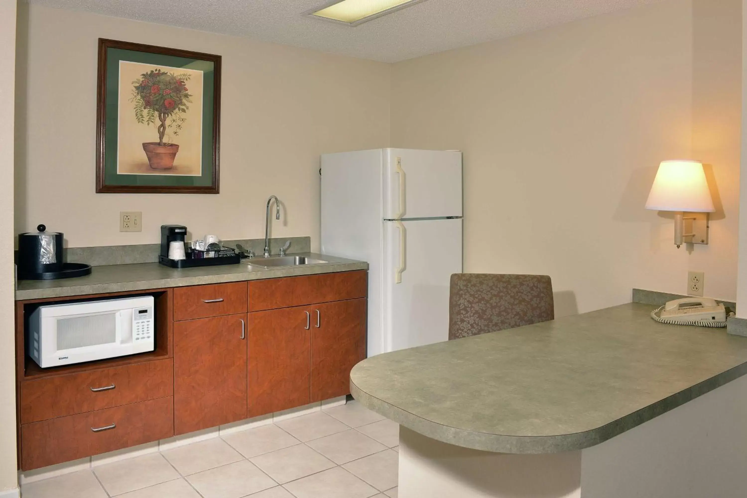 Kitchen or kitchenette, Kitchen/Kitchenette in Hampton Inn & Suites Springfield