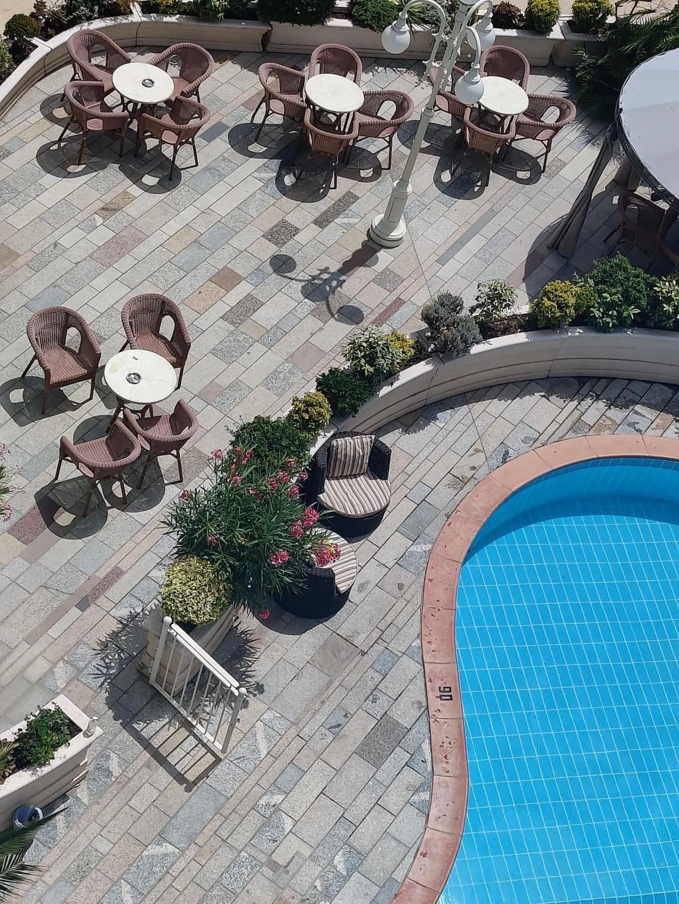 Swimming pool, Pool View in Hotel Ambassador