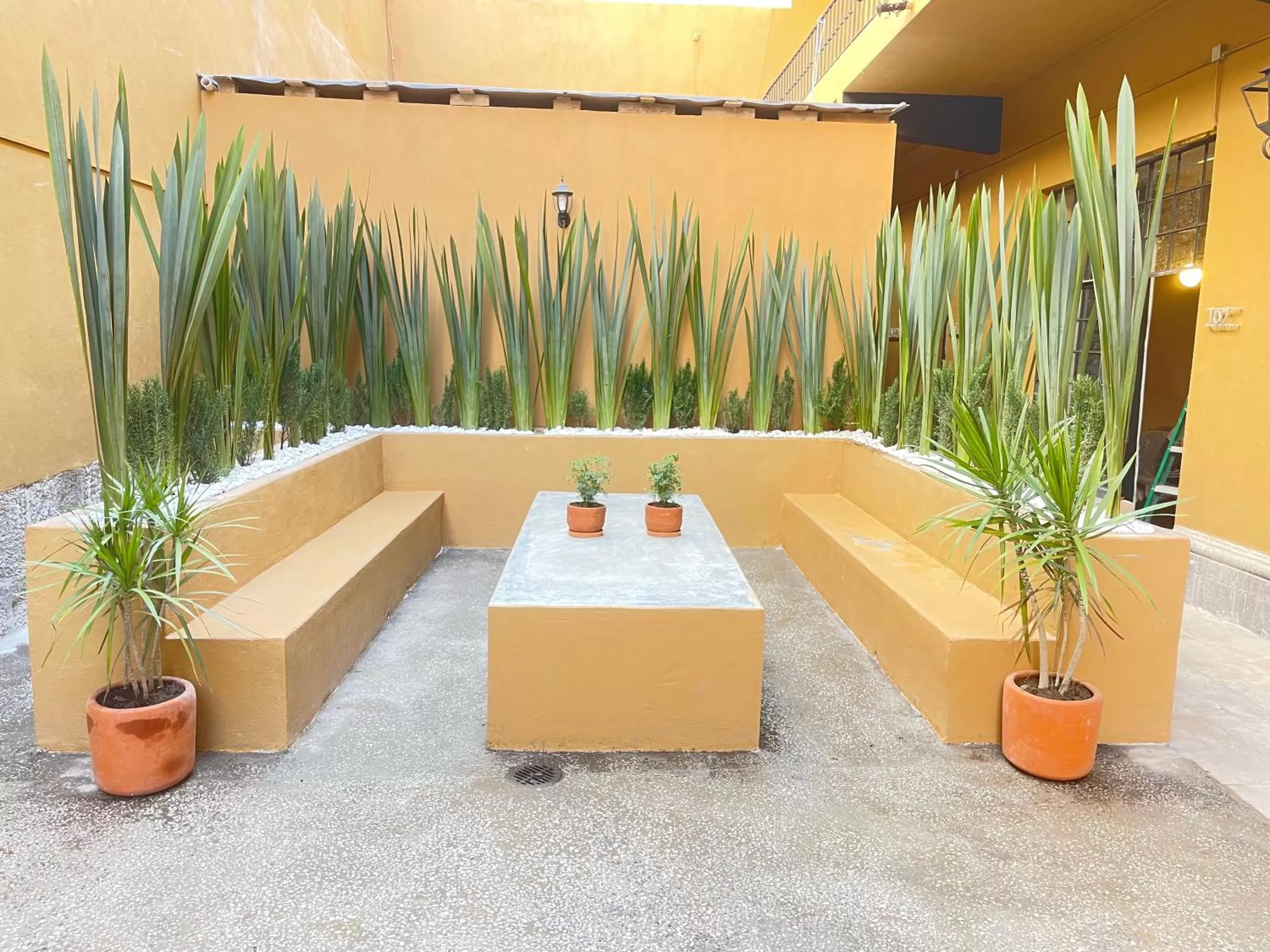 Patio in Colmena Hotel CDMX Centro