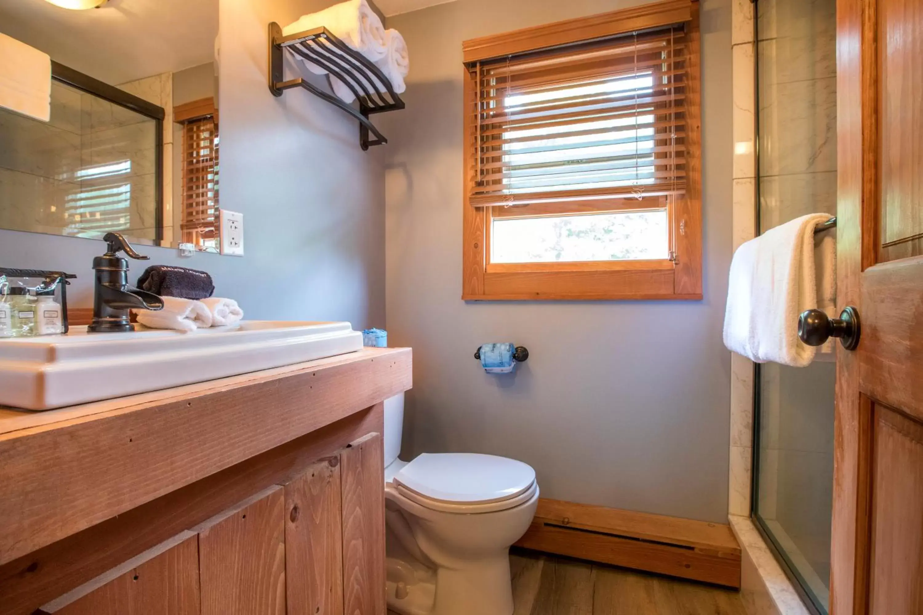 Toilet, Bathroom in Garnet Hill Lodge