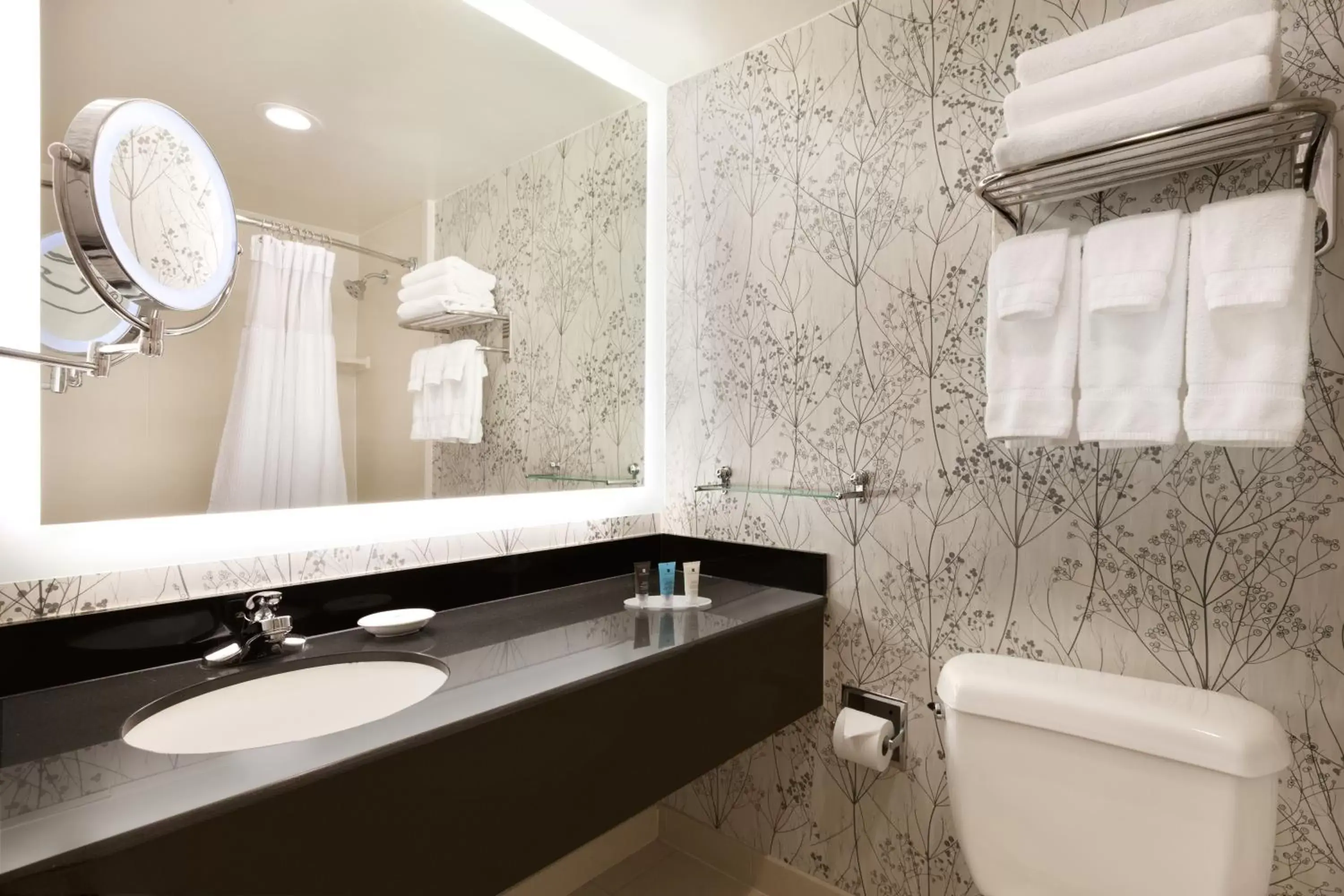 Bathroom in Crowne Plaza Crystal City-Washington, D.C., an IHG Hotel