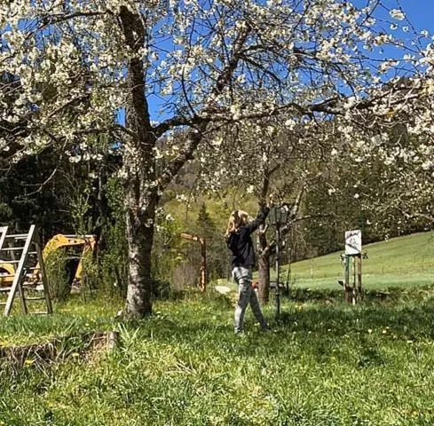 Garden in Berggasthof Butzn Wirt